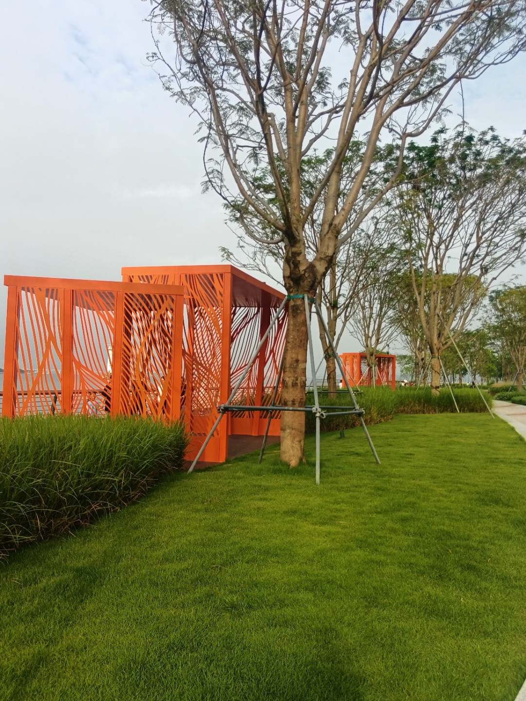 截至2023年,深圳拥有超过1200个公园,人均绿地面积居国内前列