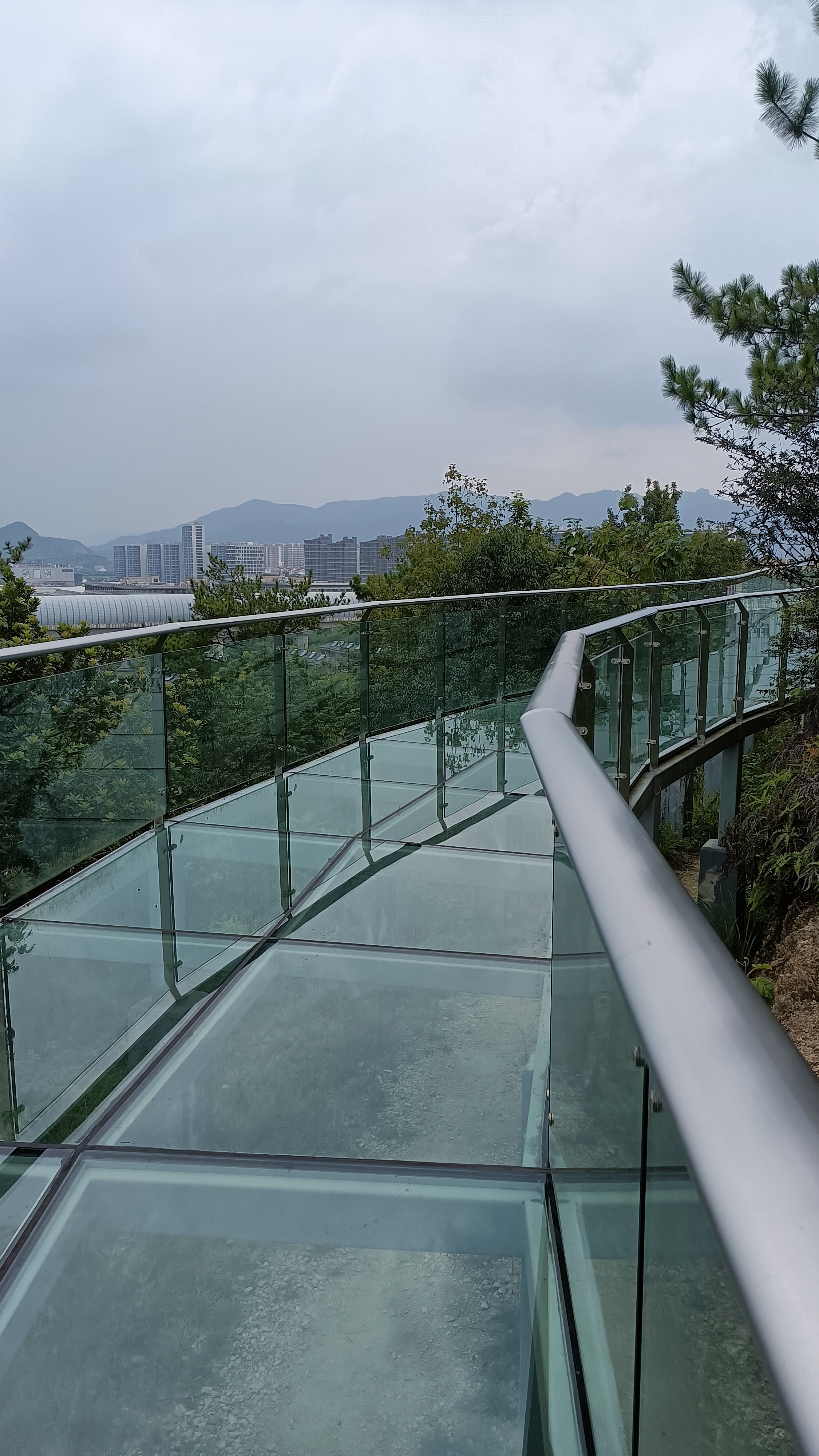 夏日阳光洒落台州中央山公园,绿意蔓延,鸟鸣溪潺.