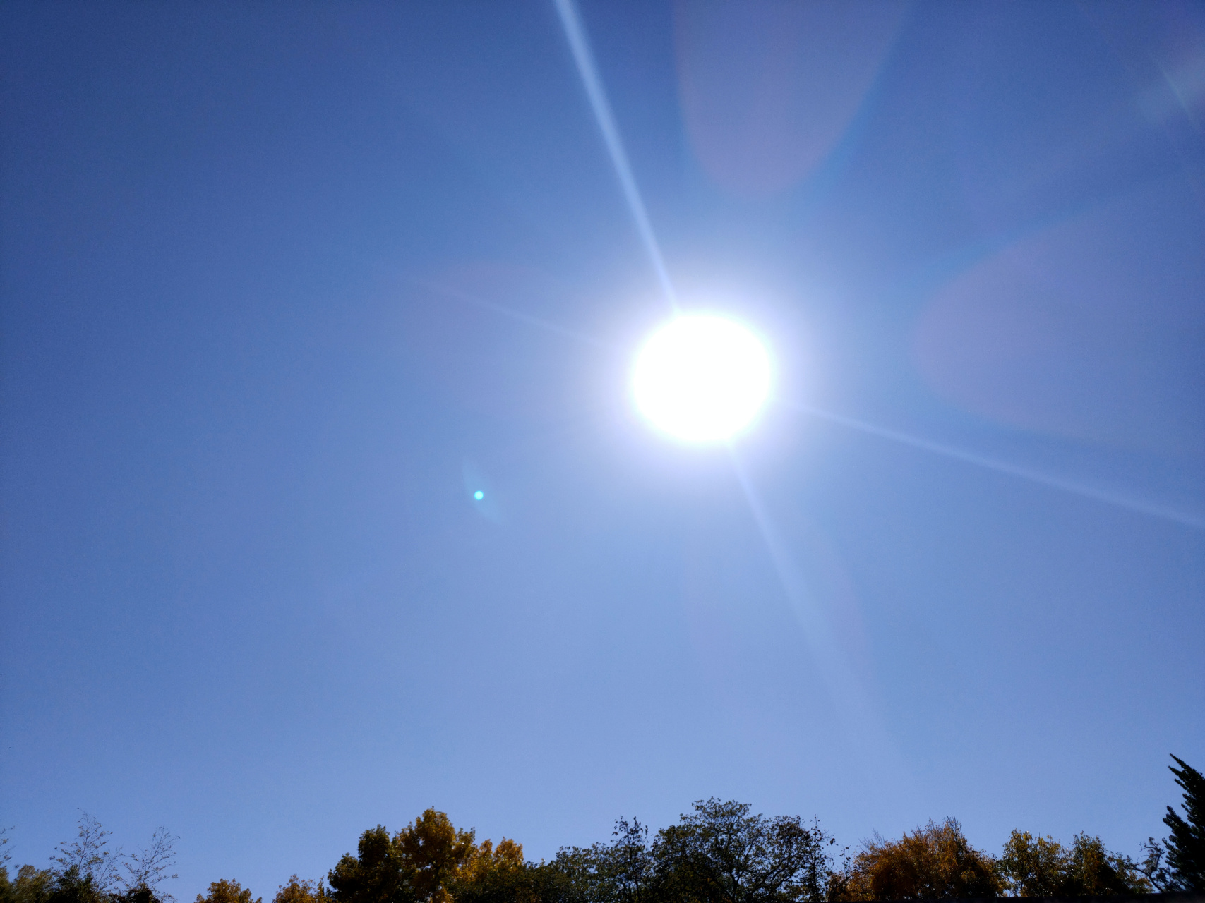 正午的太阳是什么样子的呢?