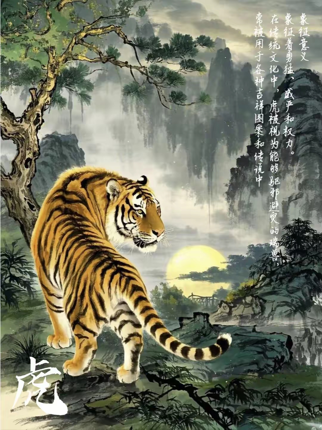 寅时生肖虎今日运势(寅虎今日运势!)