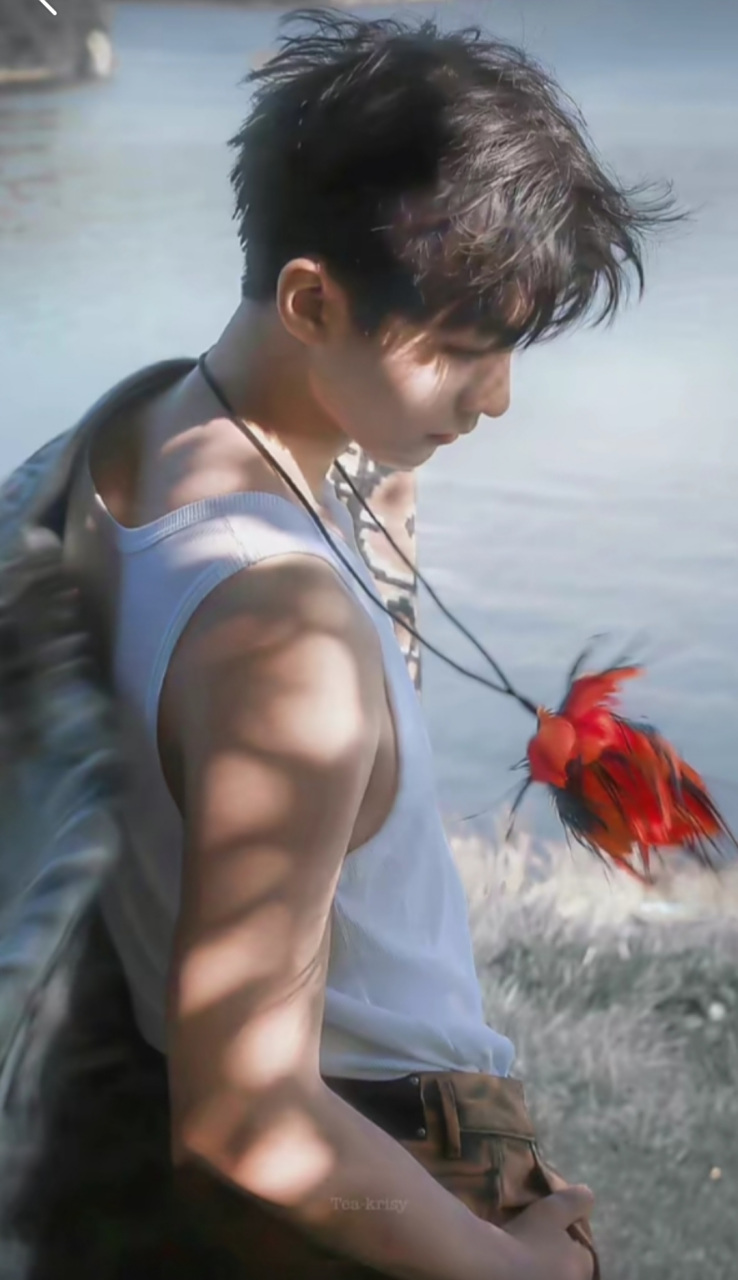 论那些一定要保存的#王俊凯# 神图[打call][打call][打call]#头像