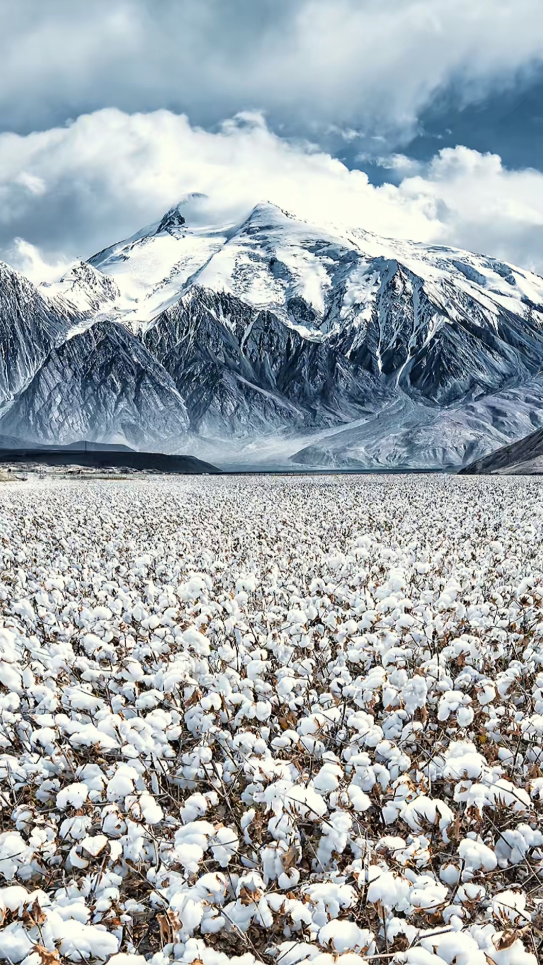 巴音布鲁克  巴音布鲁克是国内的第二大草原,在天山山脉的中部盆地之