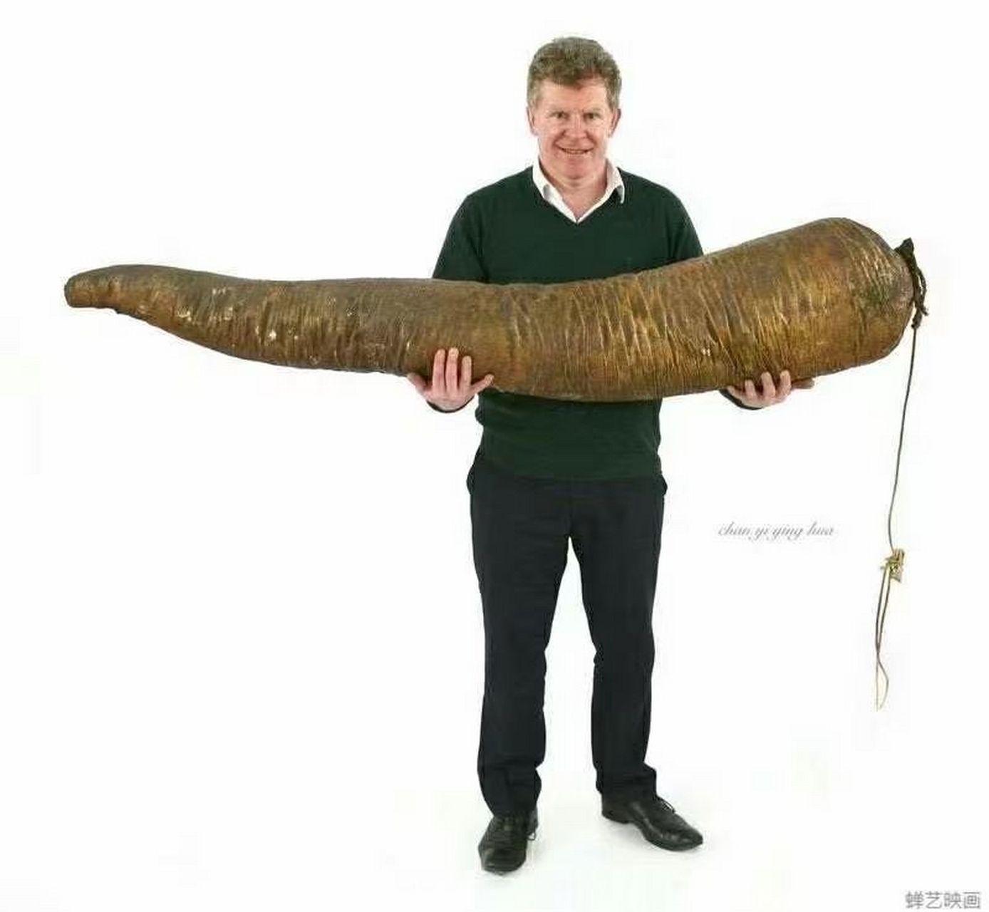 6米的鲸鱼鞭以6000美金出售.  (卖给中国至少可以翻几番[呲牙])