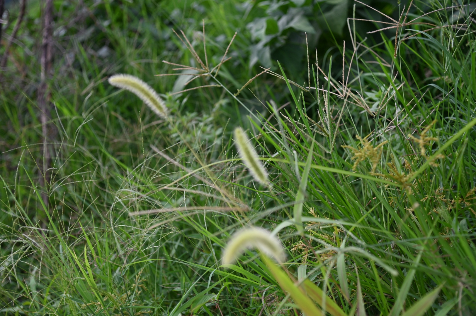 有时候,与其说是爱上了一个人,不如说是爱上