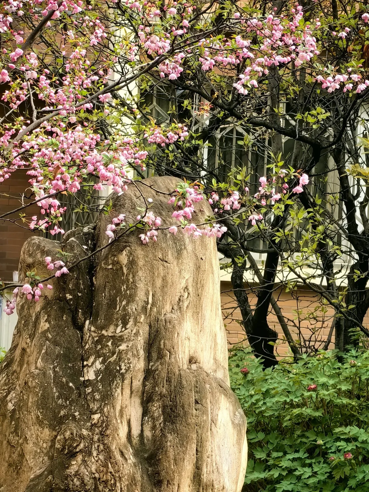 长庆兴隆园图片