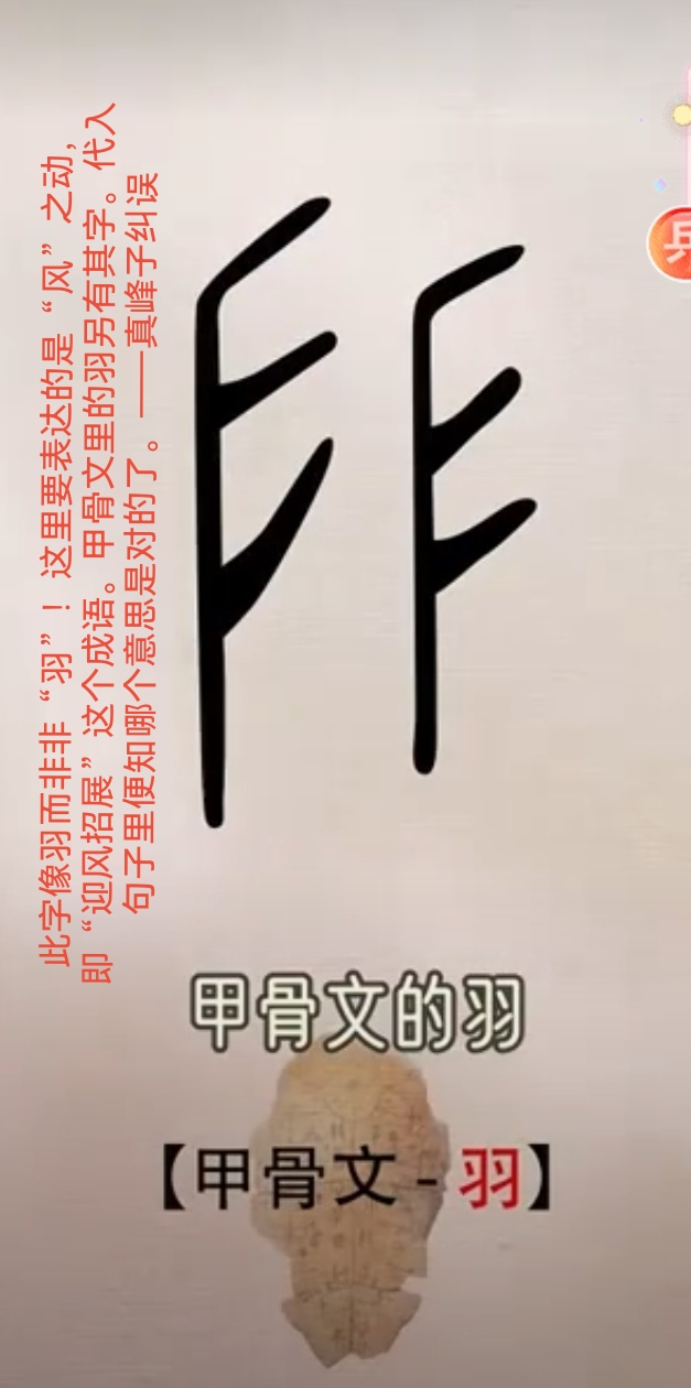 甲骨文里的羽另有其字.代入句子里便知哪个意思是对的了.