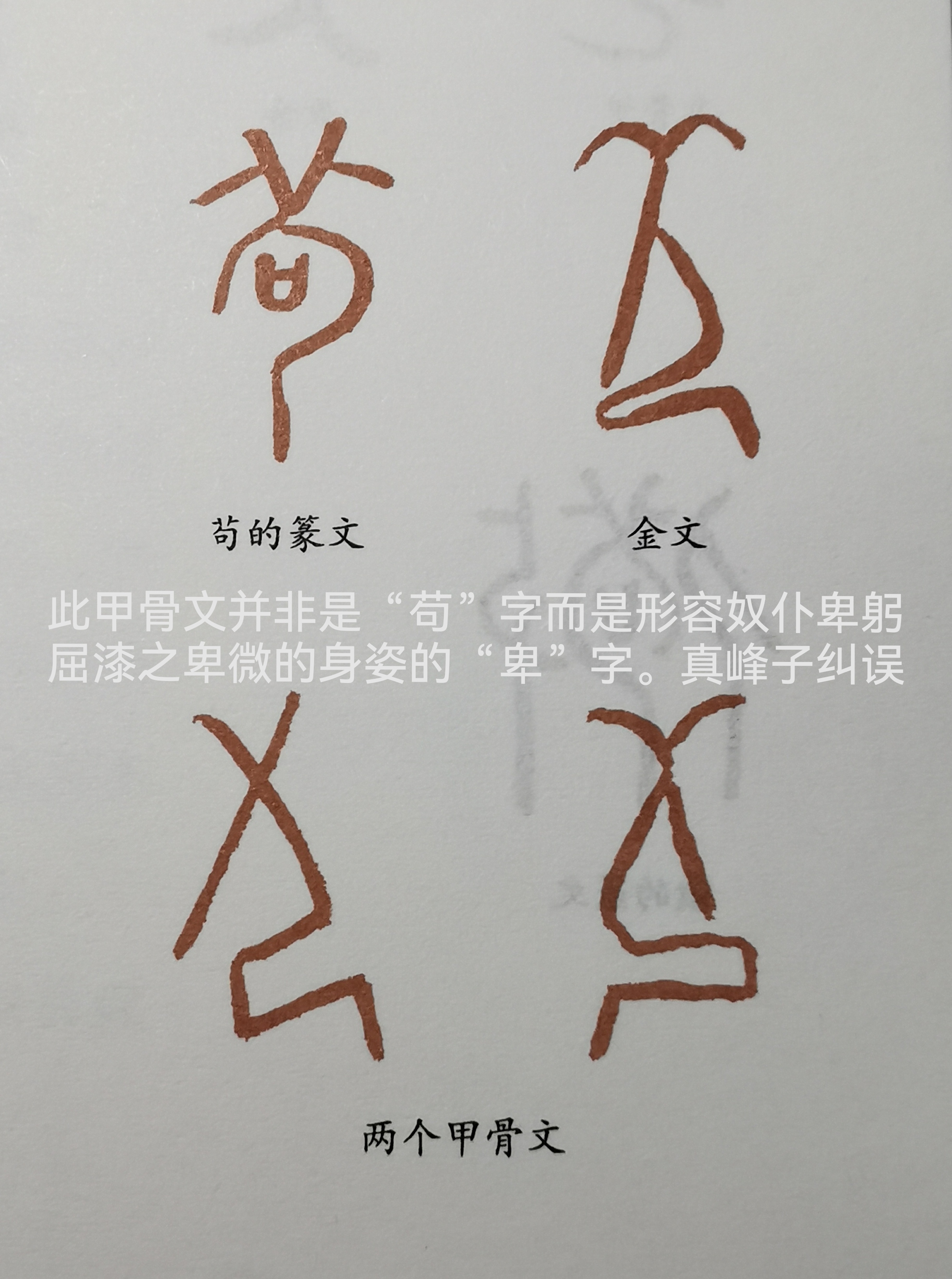 鞲在古文中的意思