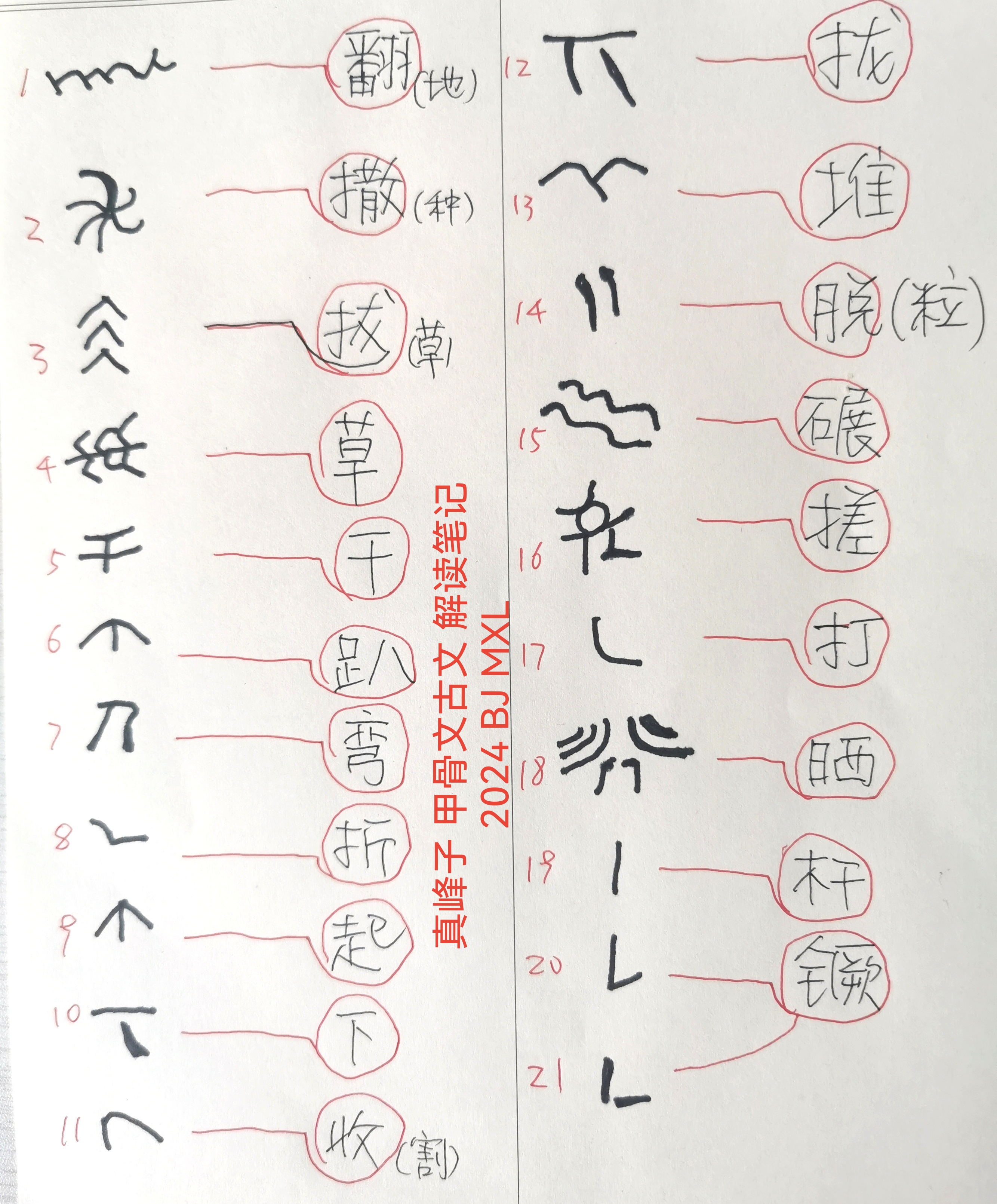 真峰子 大地湾遗址古文字解读(见下图)