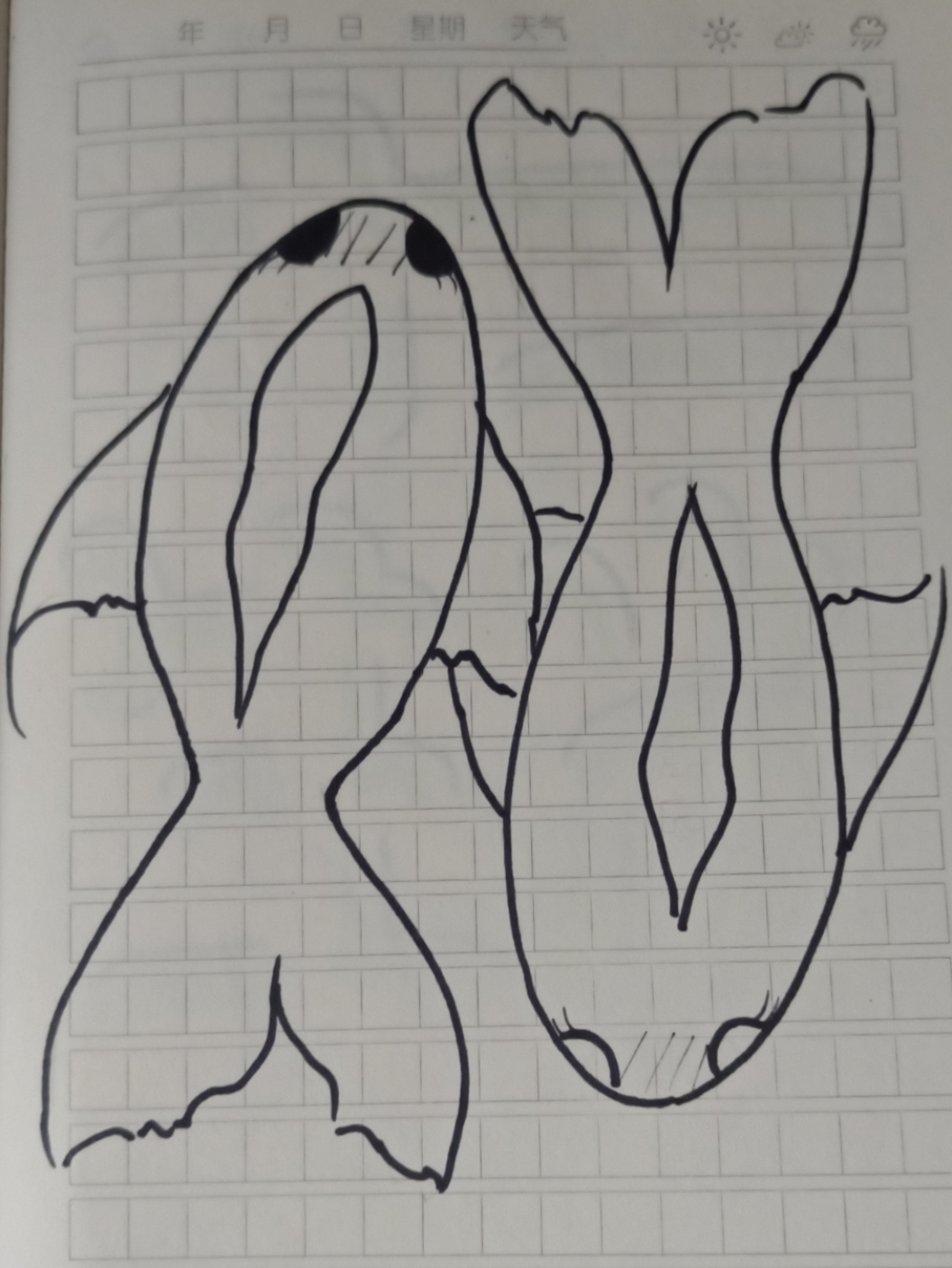 狮子座78和双鱼座75
