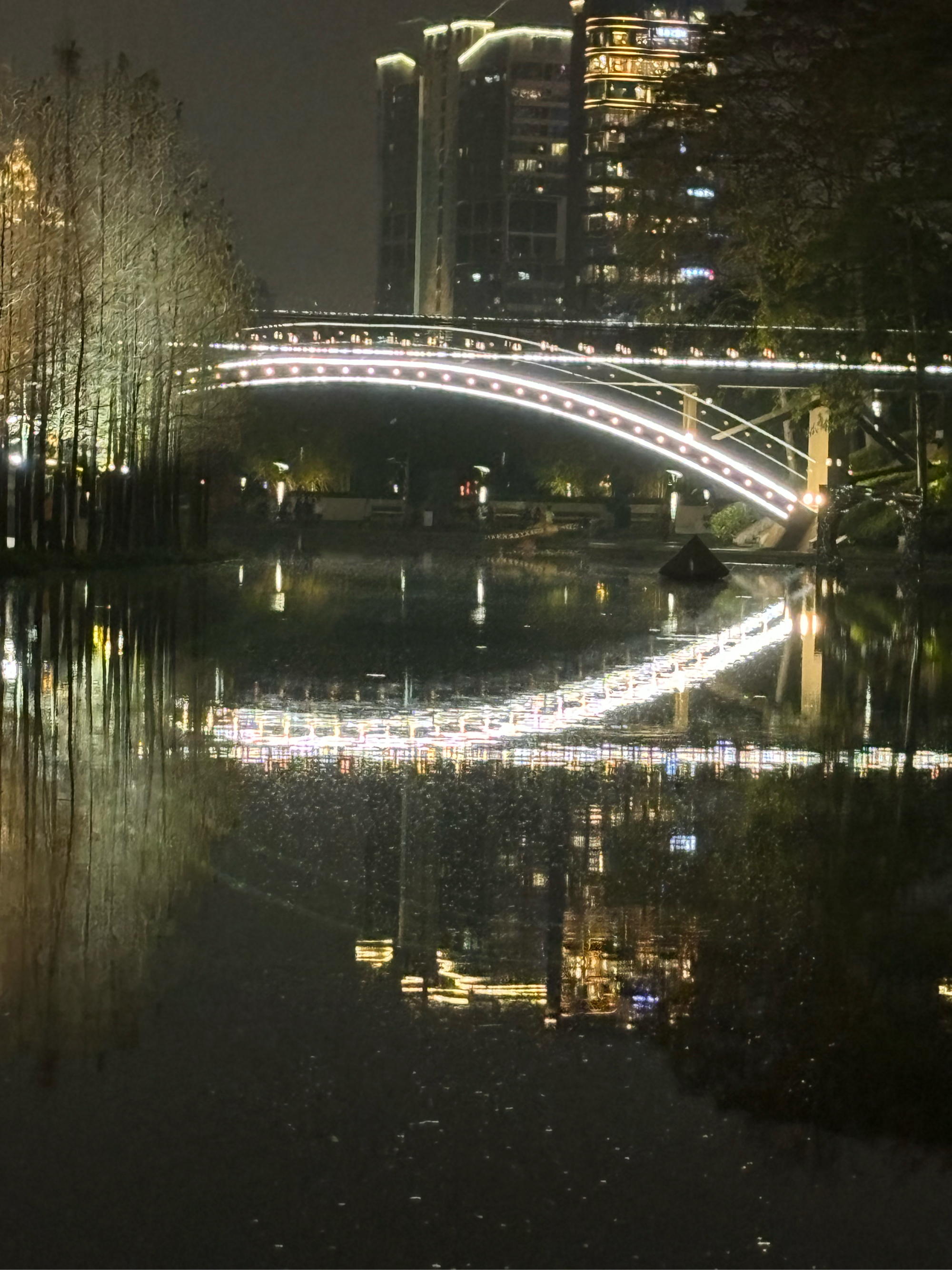 千灯湖夜景发朋友圈图片