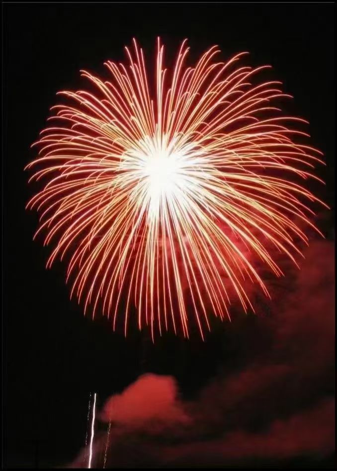 90鲜艳的红色与纯净的白色交织,像是天空中的一幅美丽画卷.