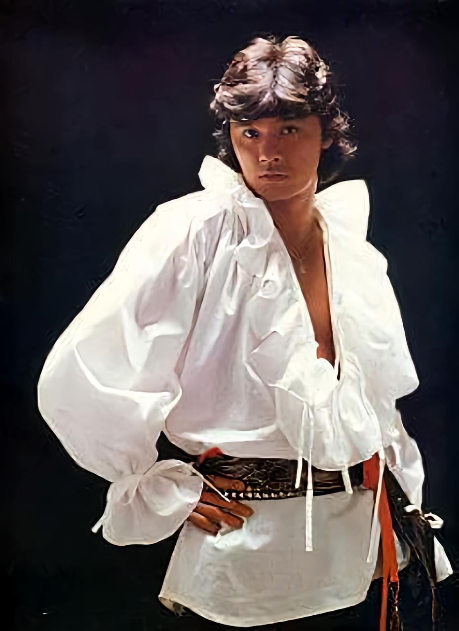 西城秀树的作品真的没看过,查了一下,代表作《杀手:蔷薇味的血》