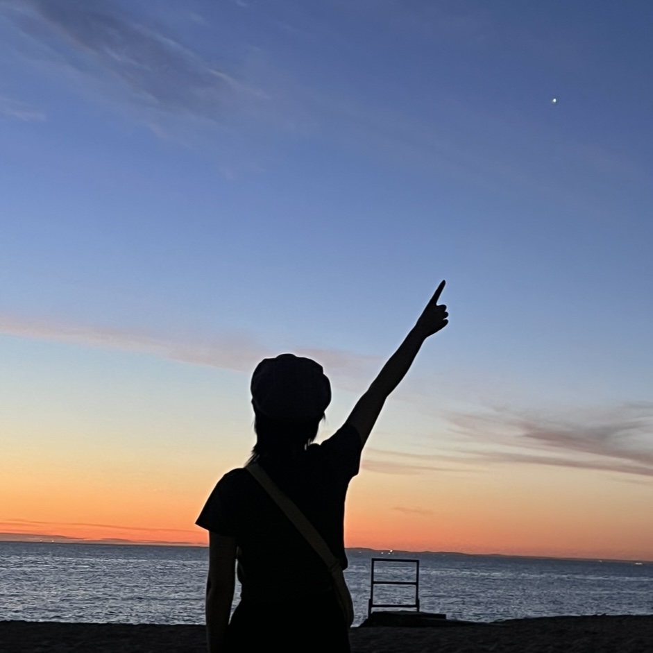 画情留背影,诗思穷佳境.不听晚潮声,犹看指上星
