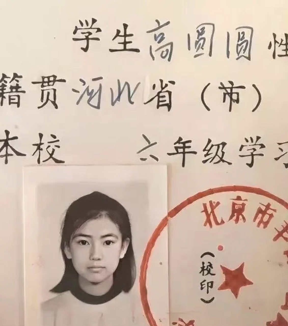 高圆圆小学证件照的神仙颜值太绝了,清秀的五官和好看的眉眼都让人