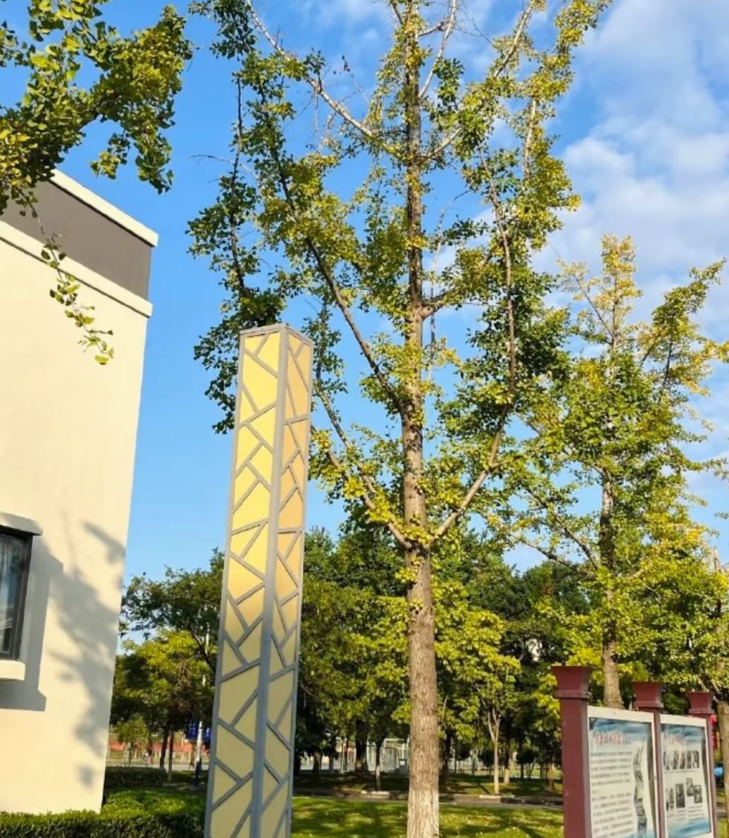 大学的学习方式与高中截然不同,更加注重自主性和探索性