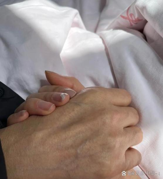 男人的手,紧紧地握着女人的,仿佛要将所有的力量和温暖都传递给她.