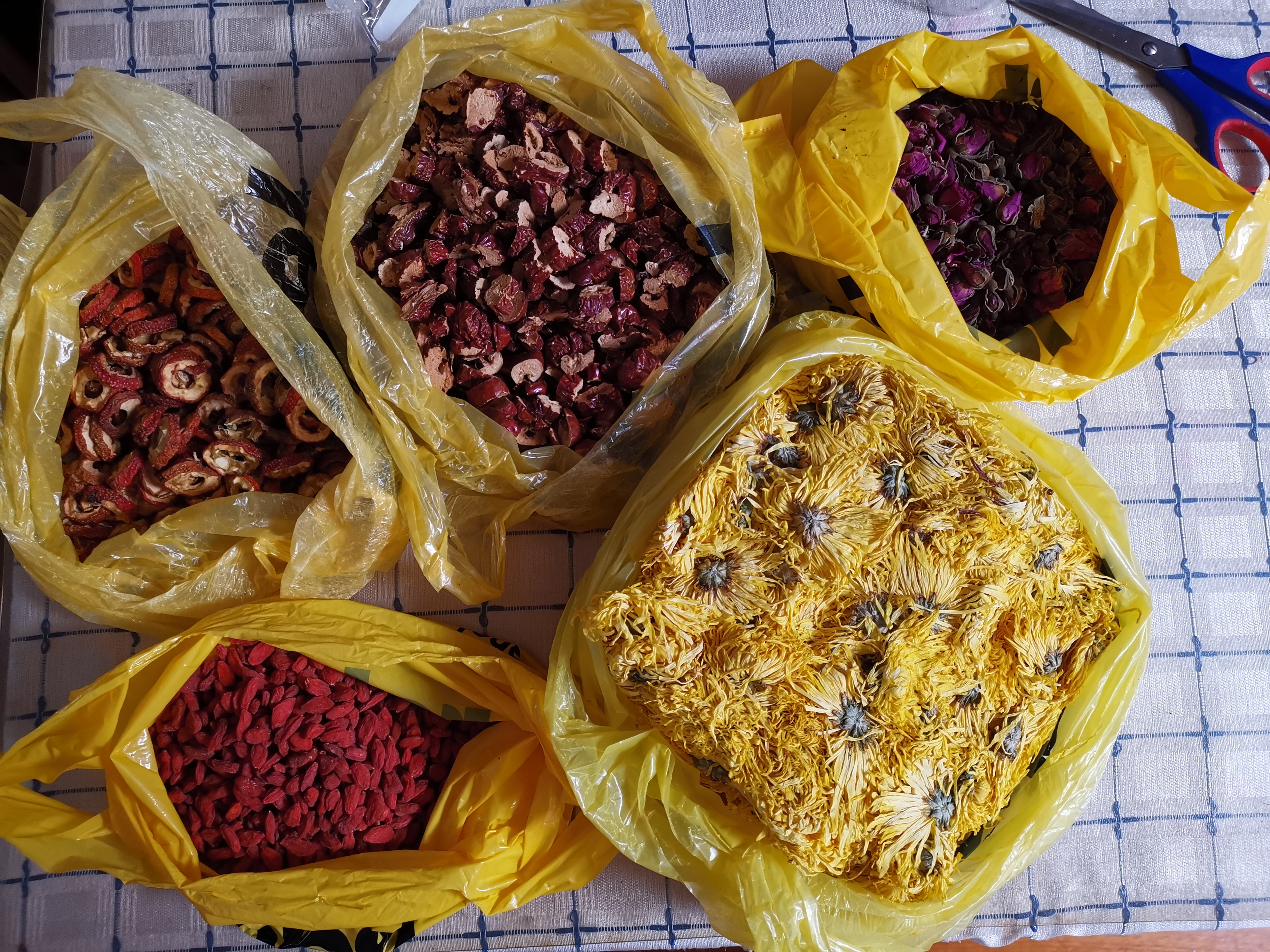 《南昌与亳(bó)州,皇菊两地情》