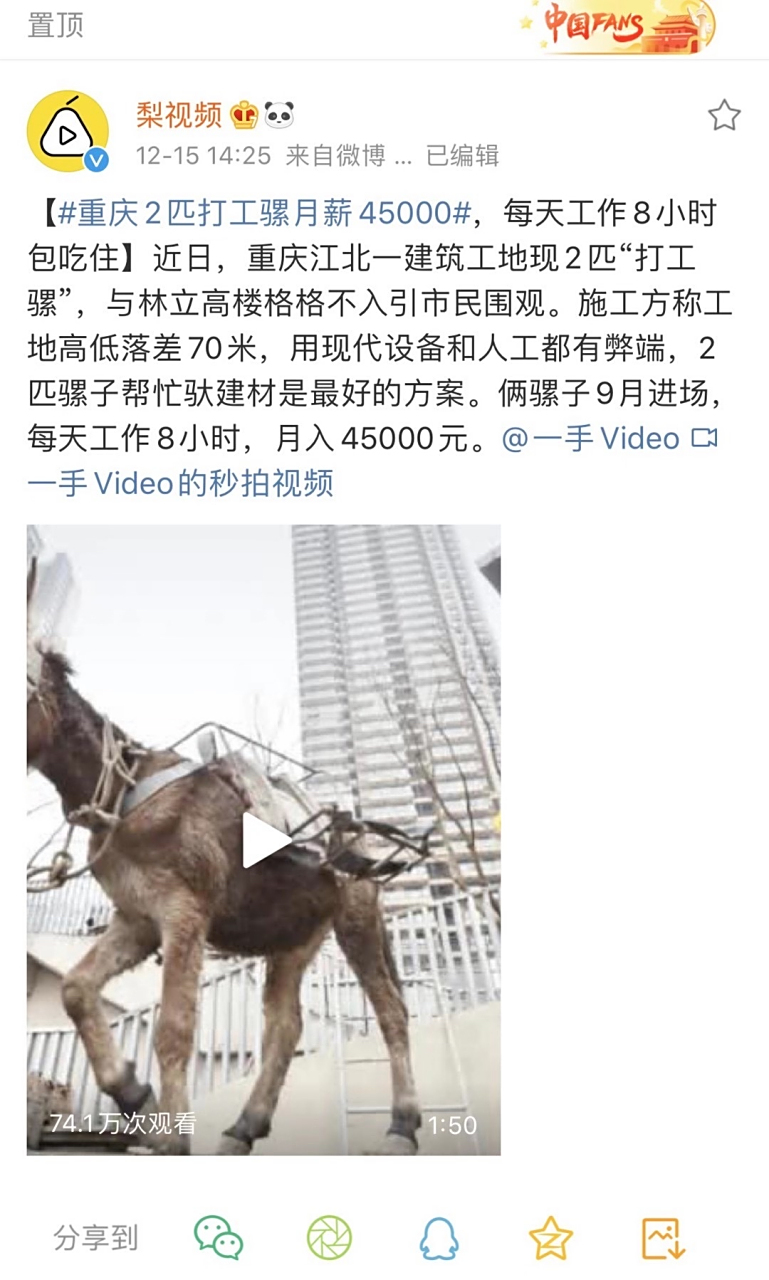 头条置顶怎么设置(头条顶置可以自己设置吗)