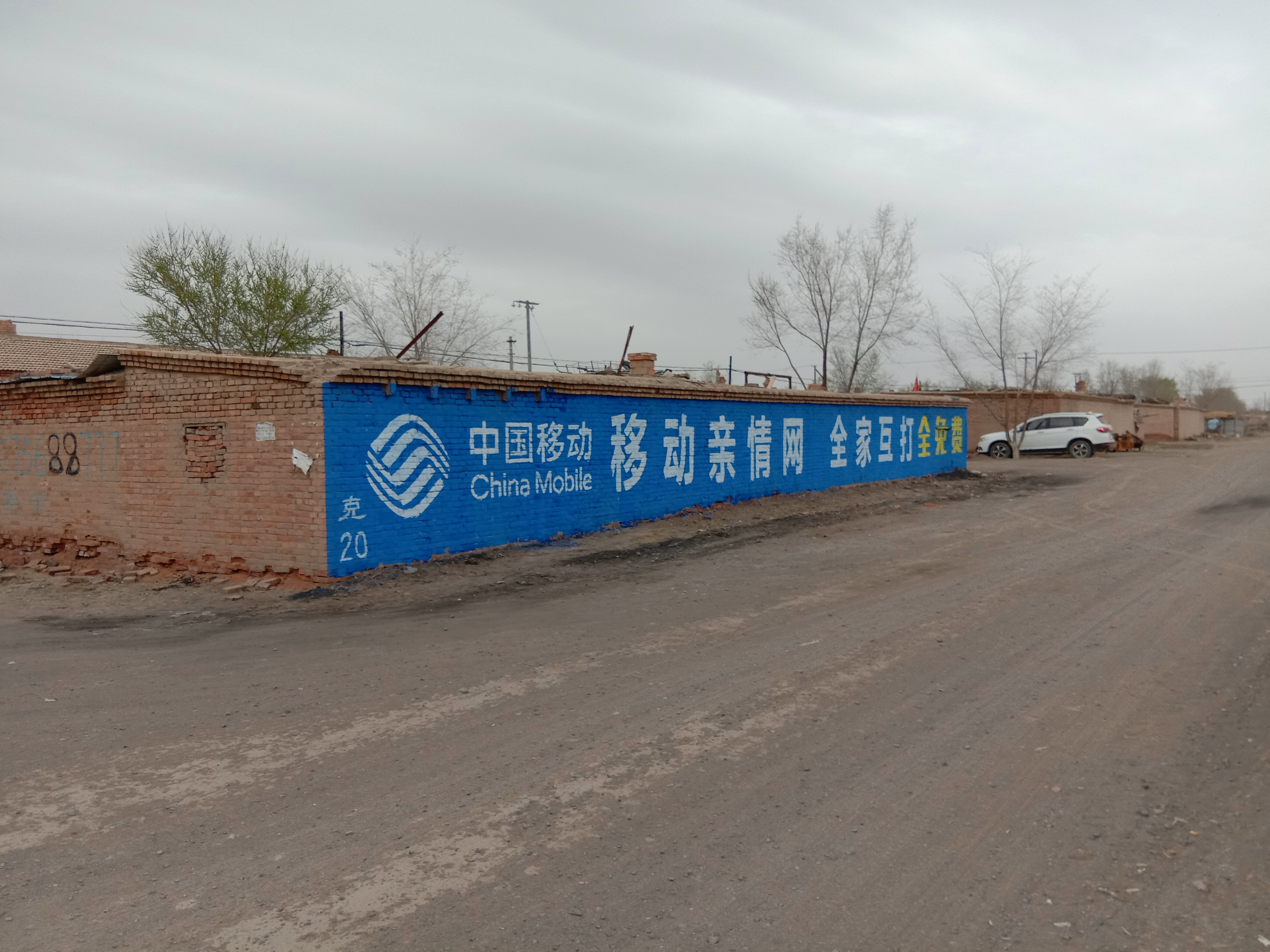 在鹤岗这座宁静而充满活力的城市中,墙体广告以其独特的方式,悄然成为