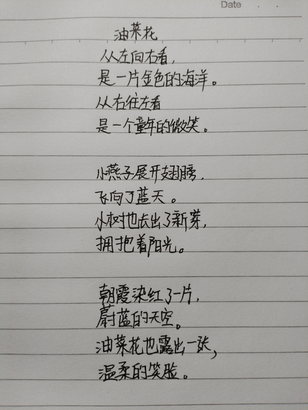 油菜花@写一首现代诗吧
