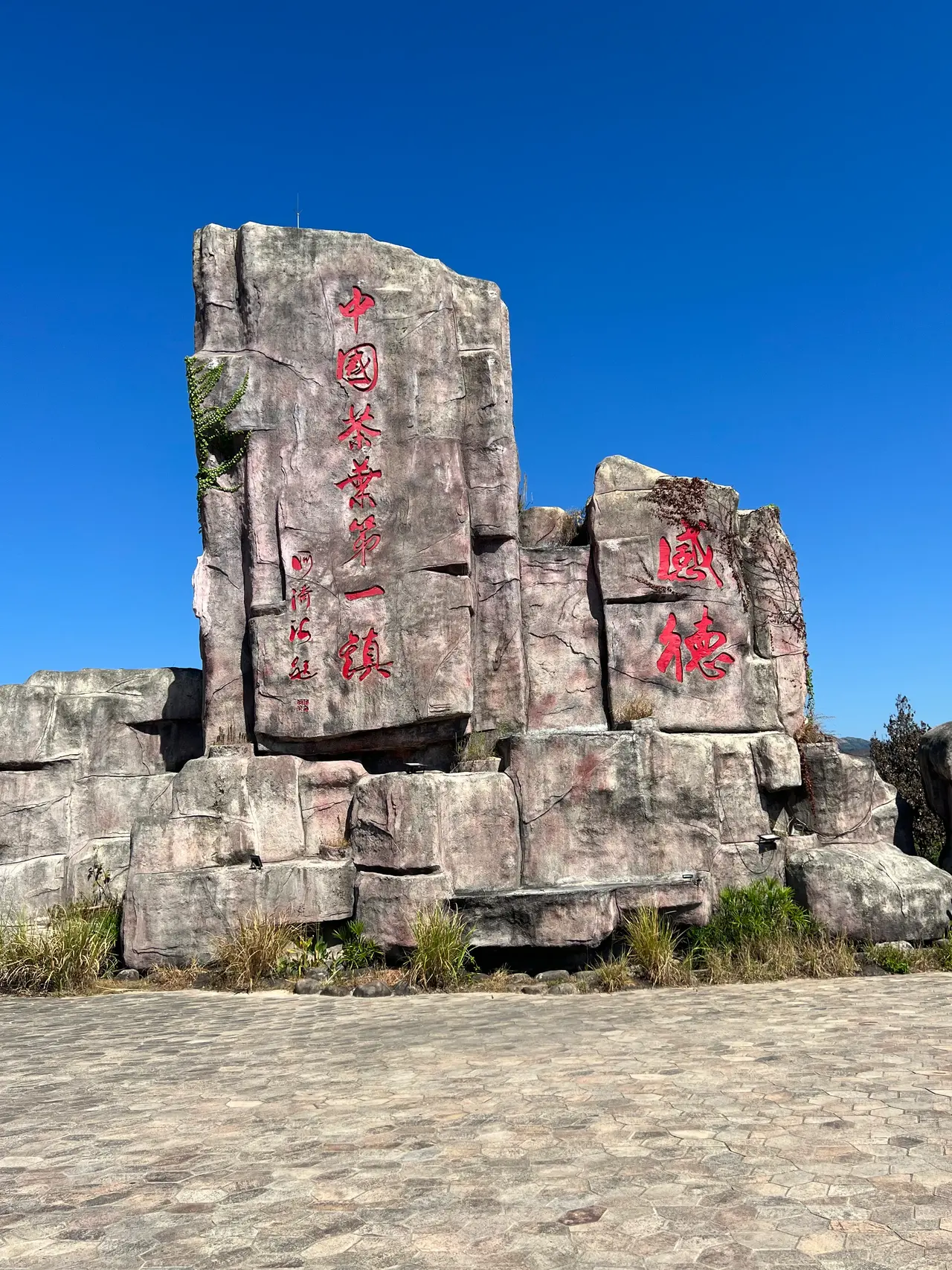 分享一杯茶,分享一份心情,铁观音,让生活更美好.#茶