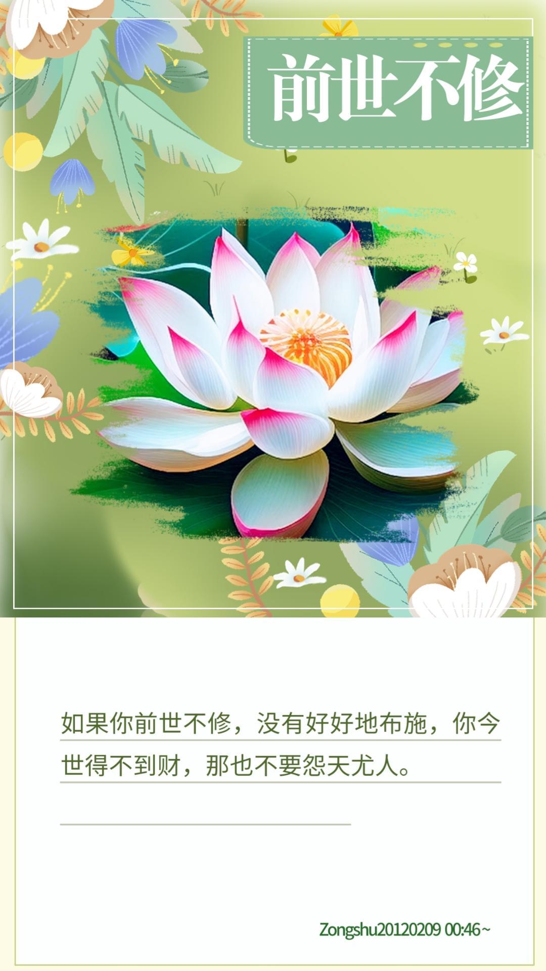 前世因果今世报(前世因今世果因果循环)