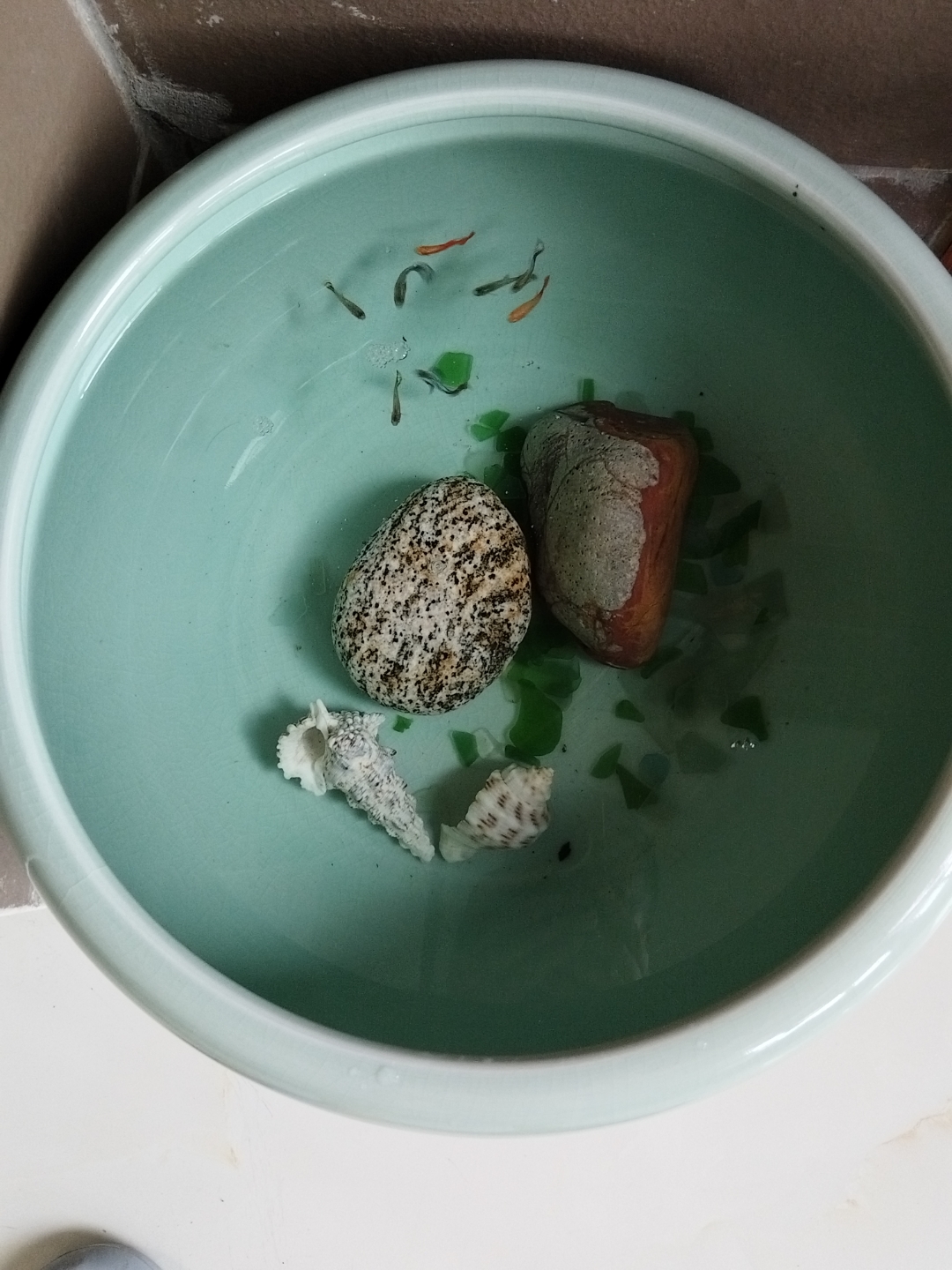 刀口老宿便排出来的图片羊汤里的小白虫照片真实水芹上的蚂蟥卵图片