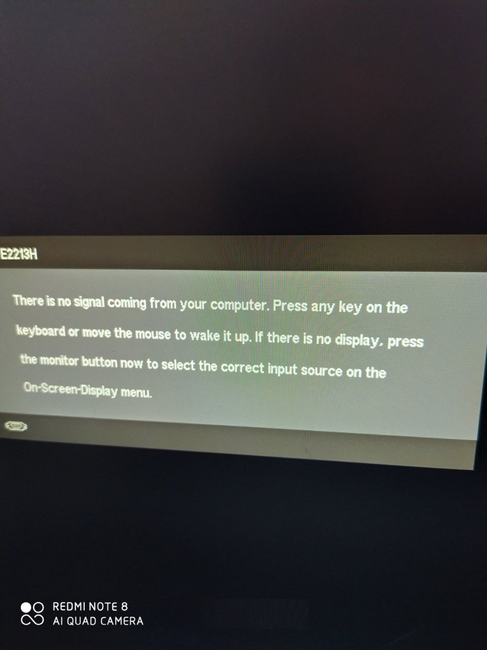 请高手指点什么意思?