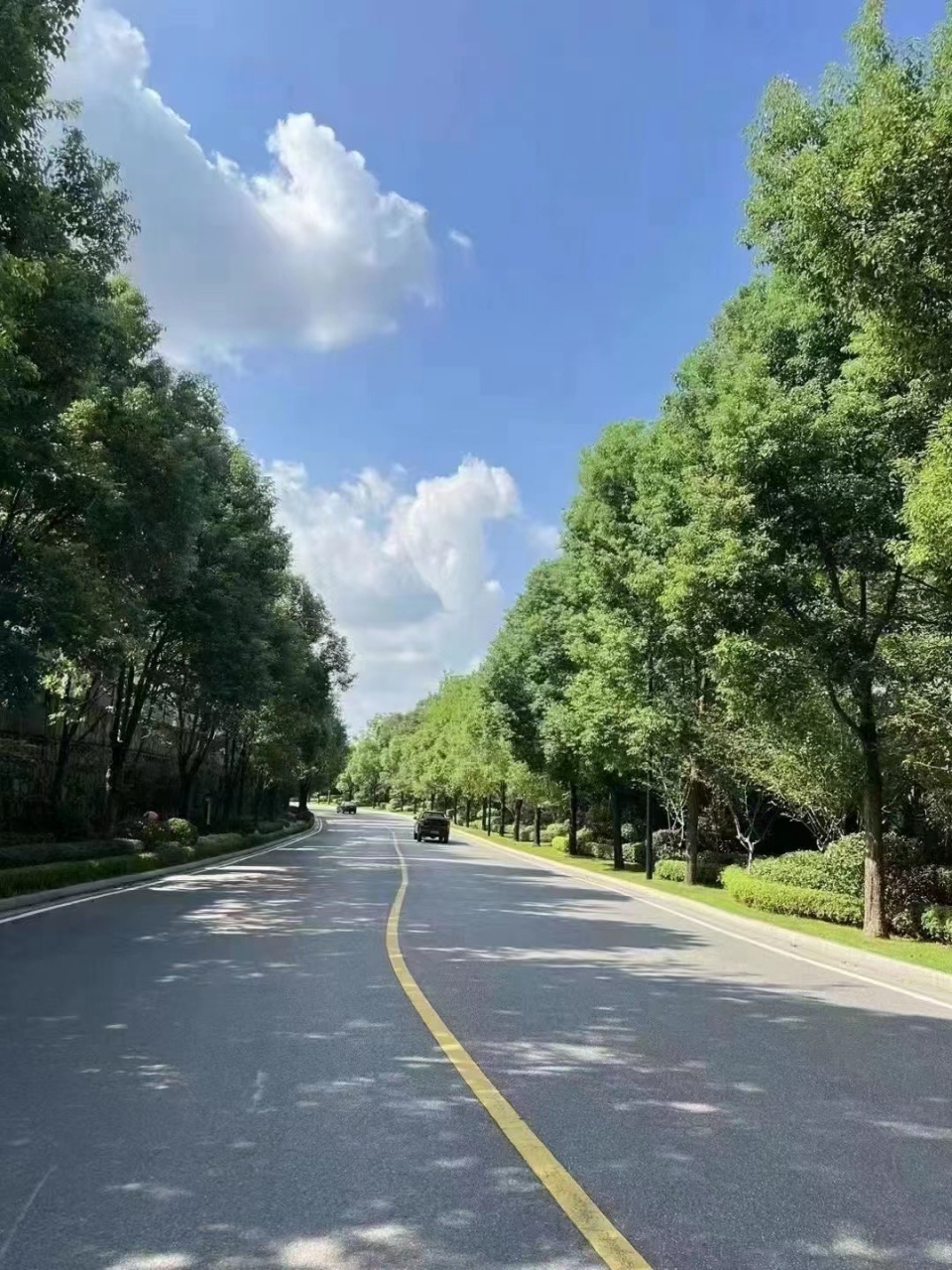 《绿61龙城69湖高尔61小夫69镇02》 面积