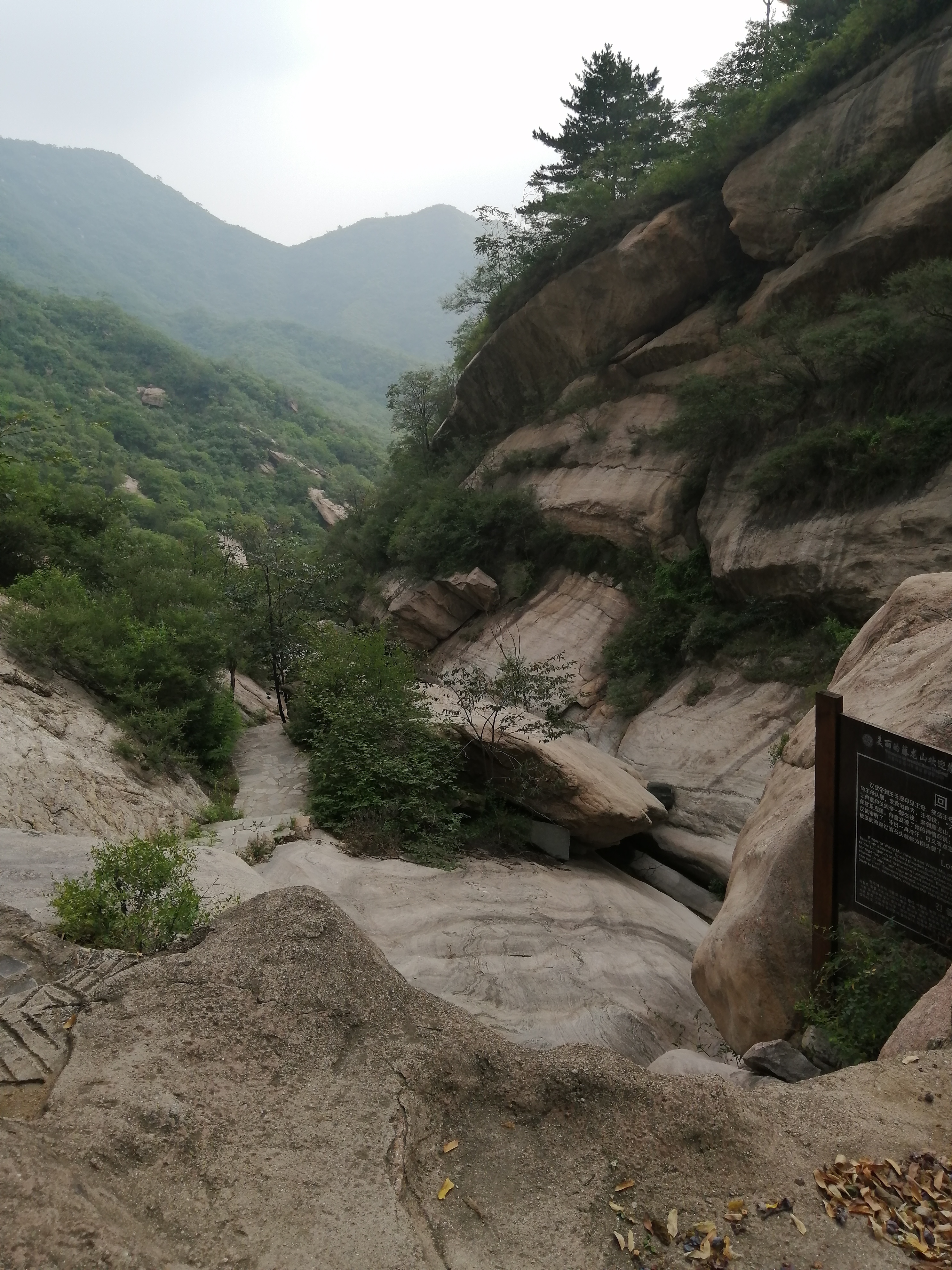 藤龙山