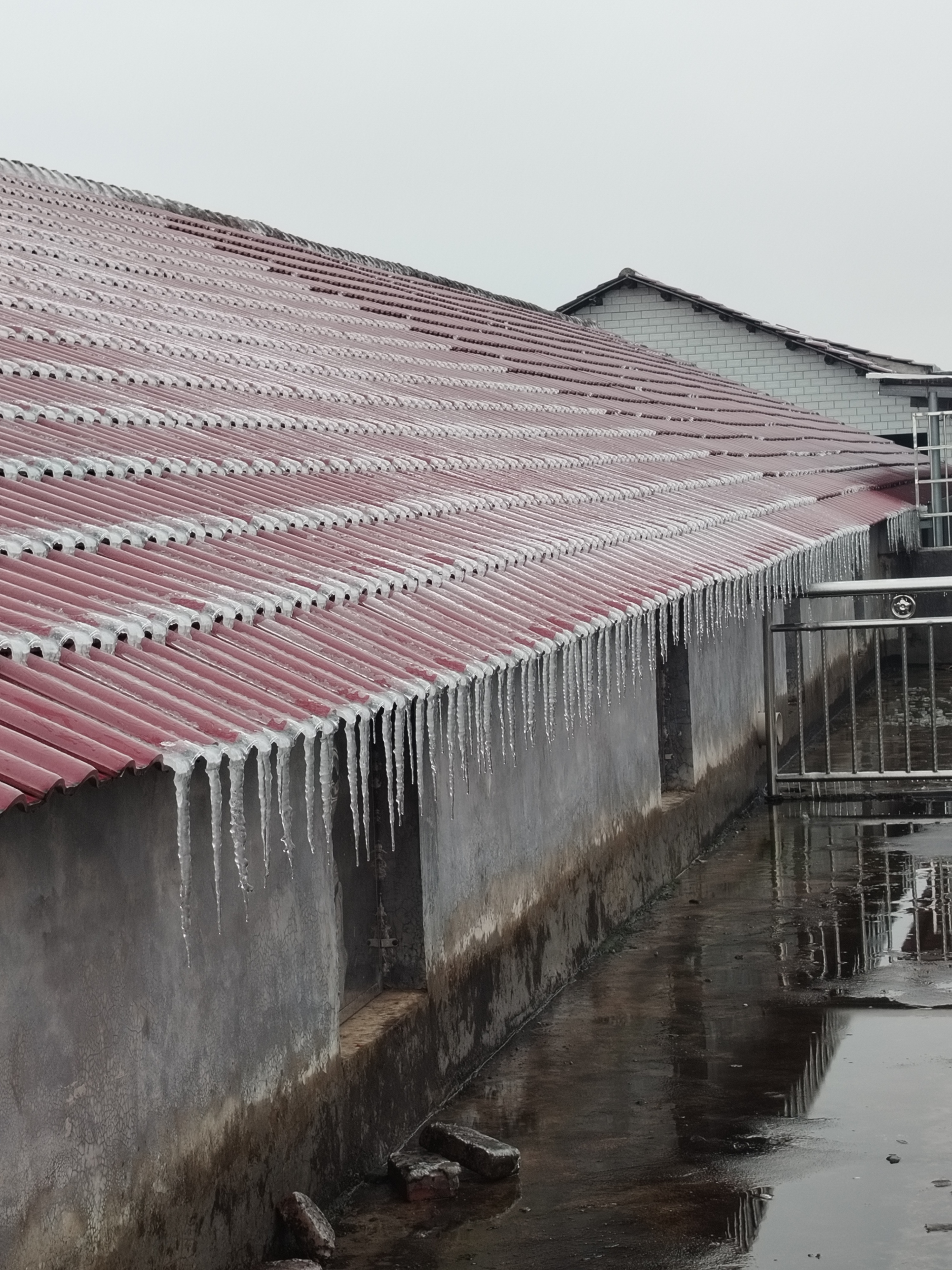 ❄️冬日魔法✨屋顶上的冰柱奇观来啦!