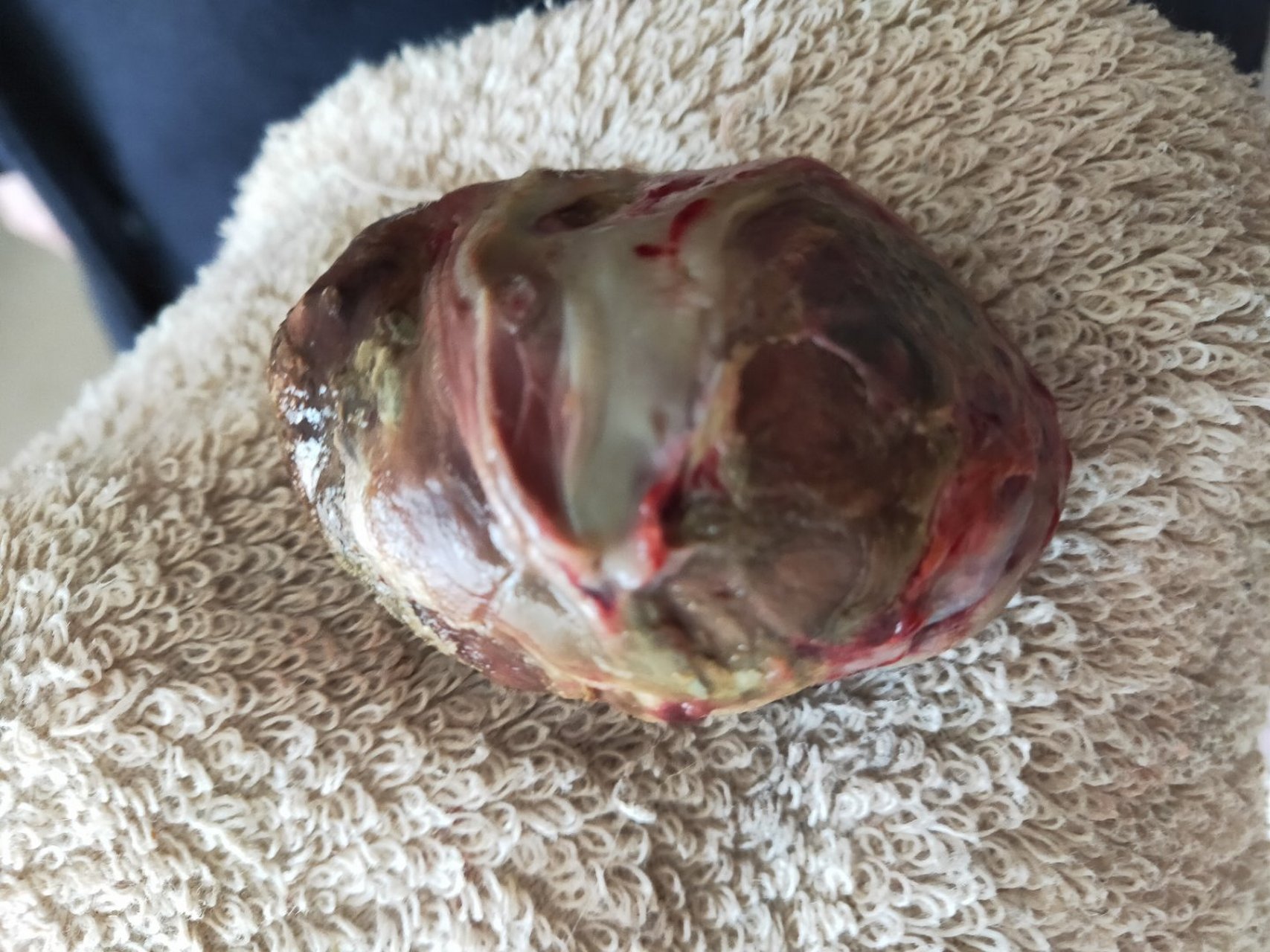 是鹅宝吗?有收藏价值吗?值多少?