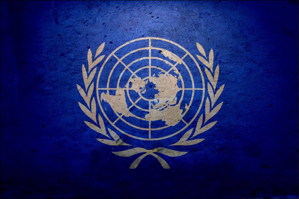 向联合国在巴以冲突中牺牲的工作人员默哀,并强烈谴责以色列无故轰炸