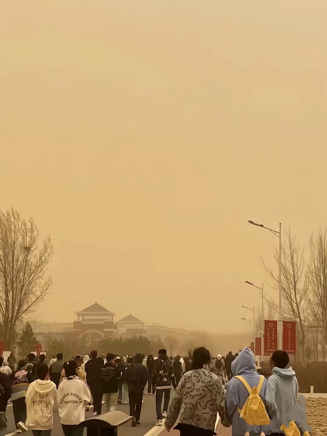 衡水市枣强县天气在线