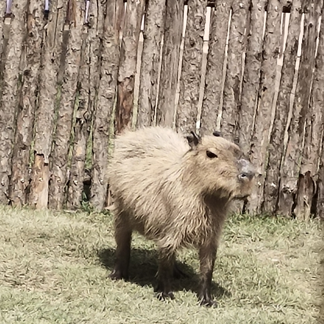 今年高考名场面#