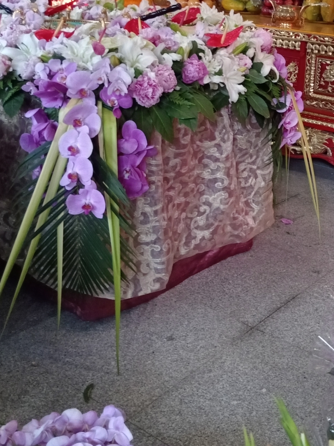 所有一切都有定数,急不得也争不来,有时候越用力越