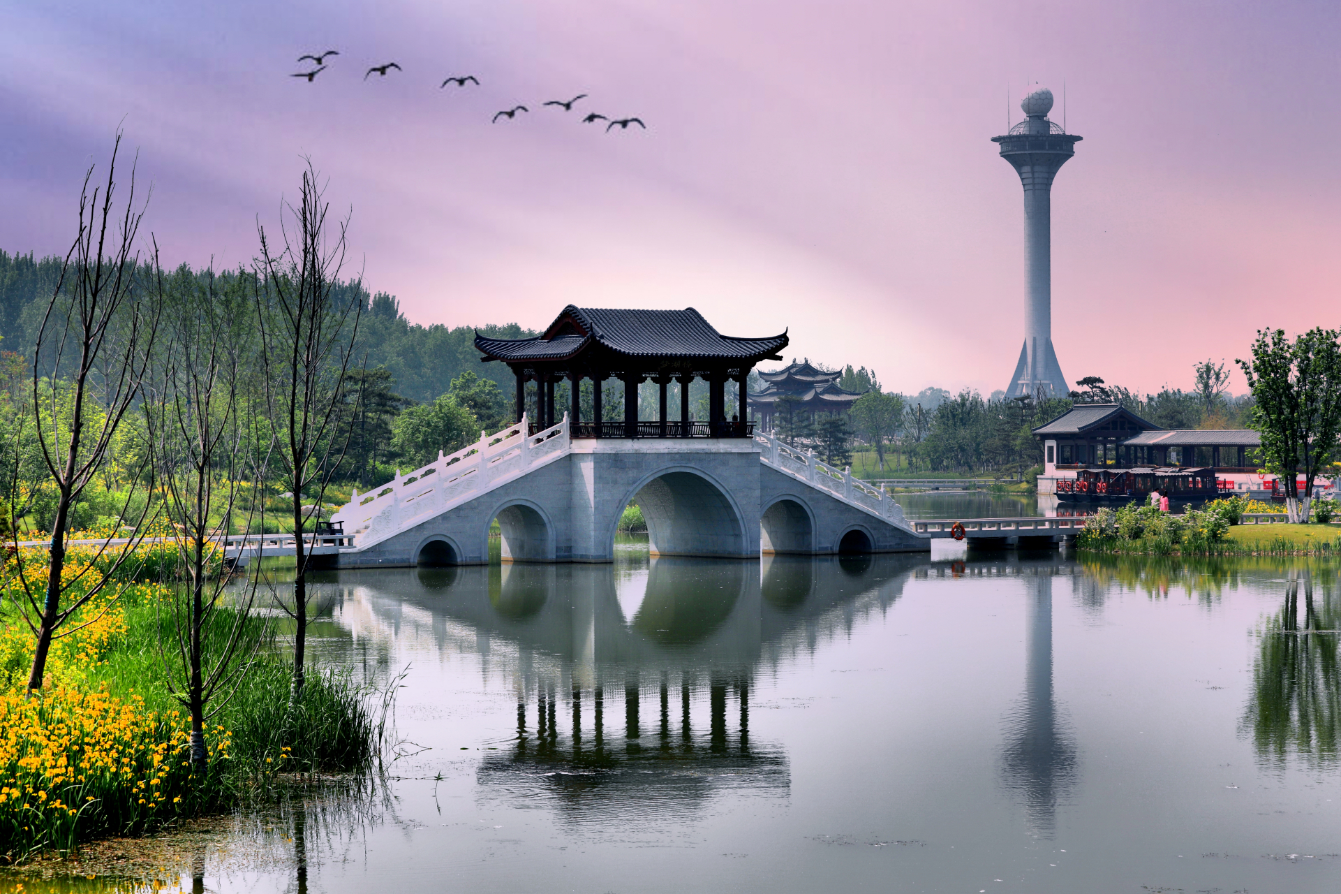 令人终生难忘的景点# 长治漳泽湖湿地公园姿.