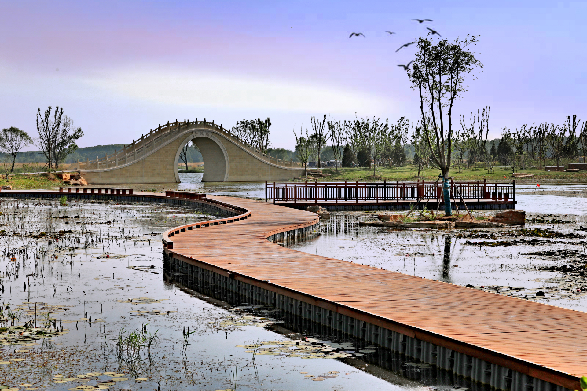 令人终生难忘的景点# 长治漳泽湖湿地公园姿.