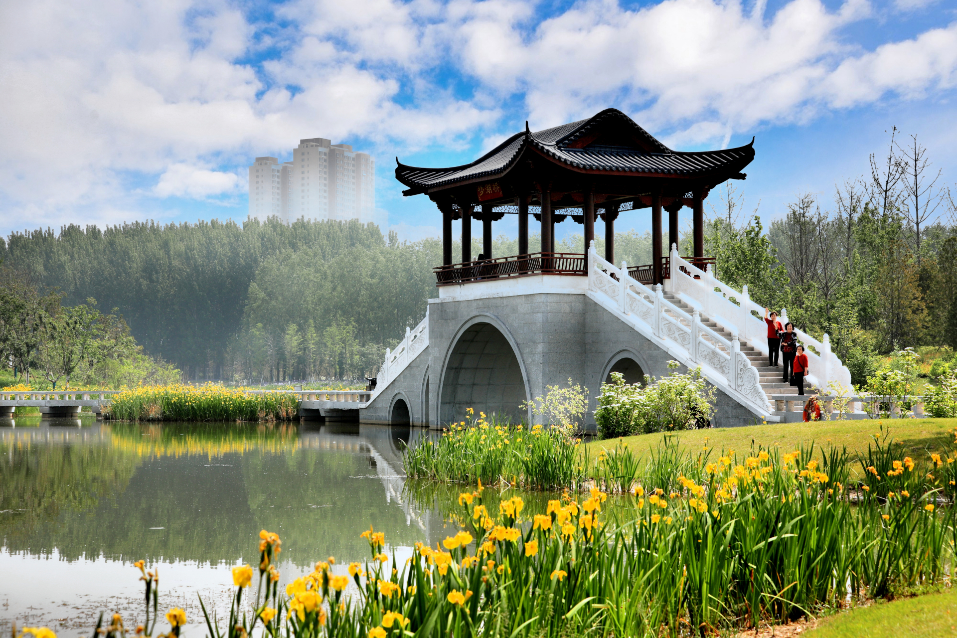 令人终生难忘的景点# 长治漳泽湖湿地公园姿.