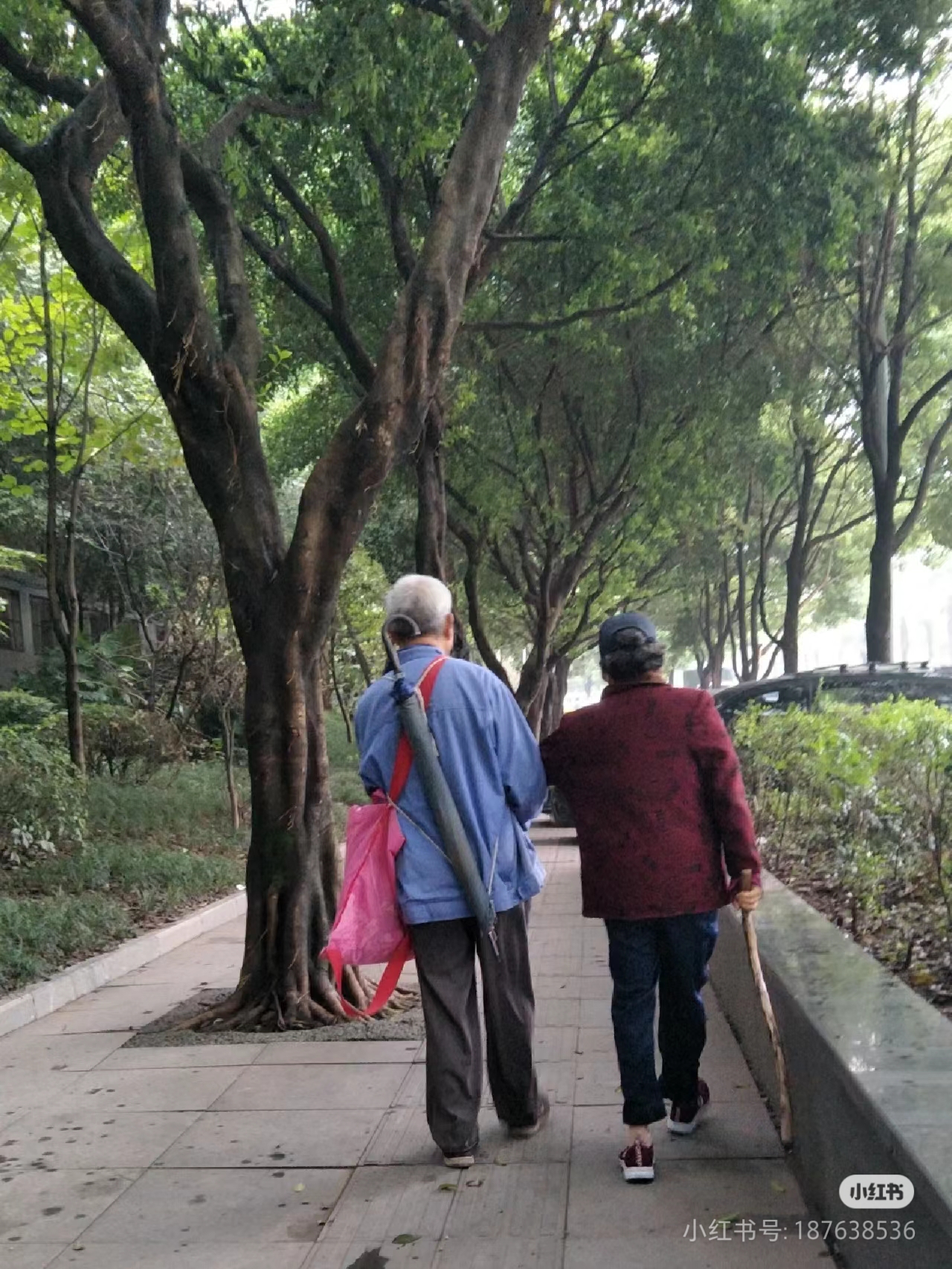在一个明媚的清晨,尘封已久的柜门被轻轻推开,老人缓缓取出那瓶药,它
