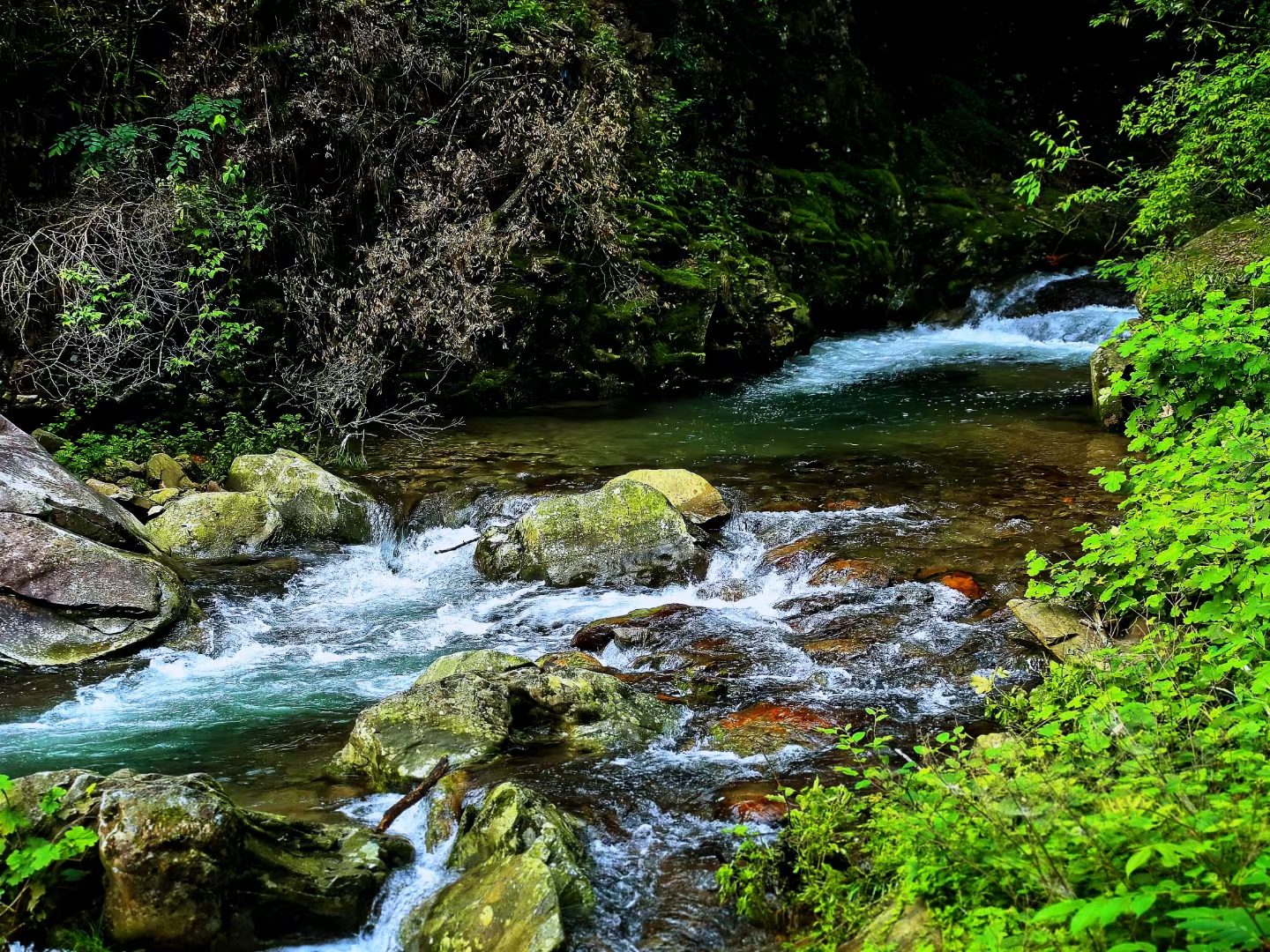 平南丹竹雷公山旅游区图片