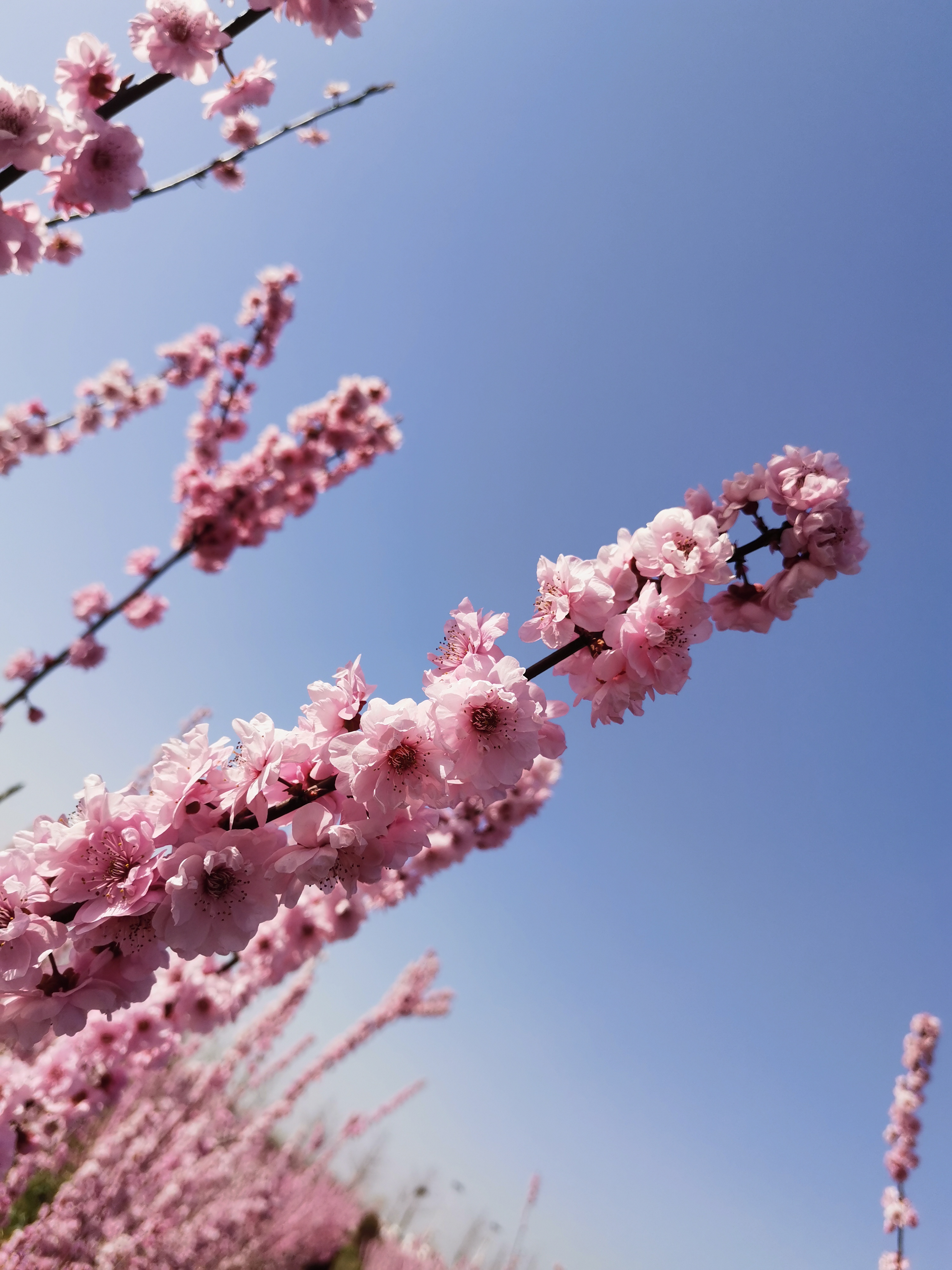 可以把新买来的牛仔裤放入浓盐水中浸泡12小时后,再用清水洗净,以后再