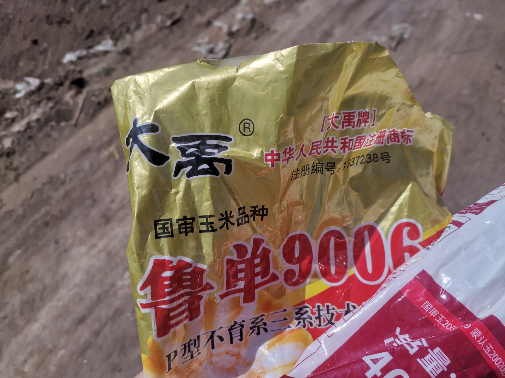 现在对几种玉米种写一下:品种沃玉111,播种日期6月1号到15号夏播适宜