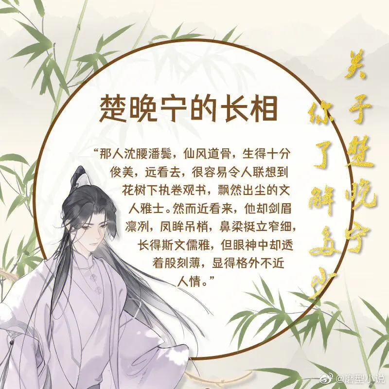 晚宁简介#楚晚宁