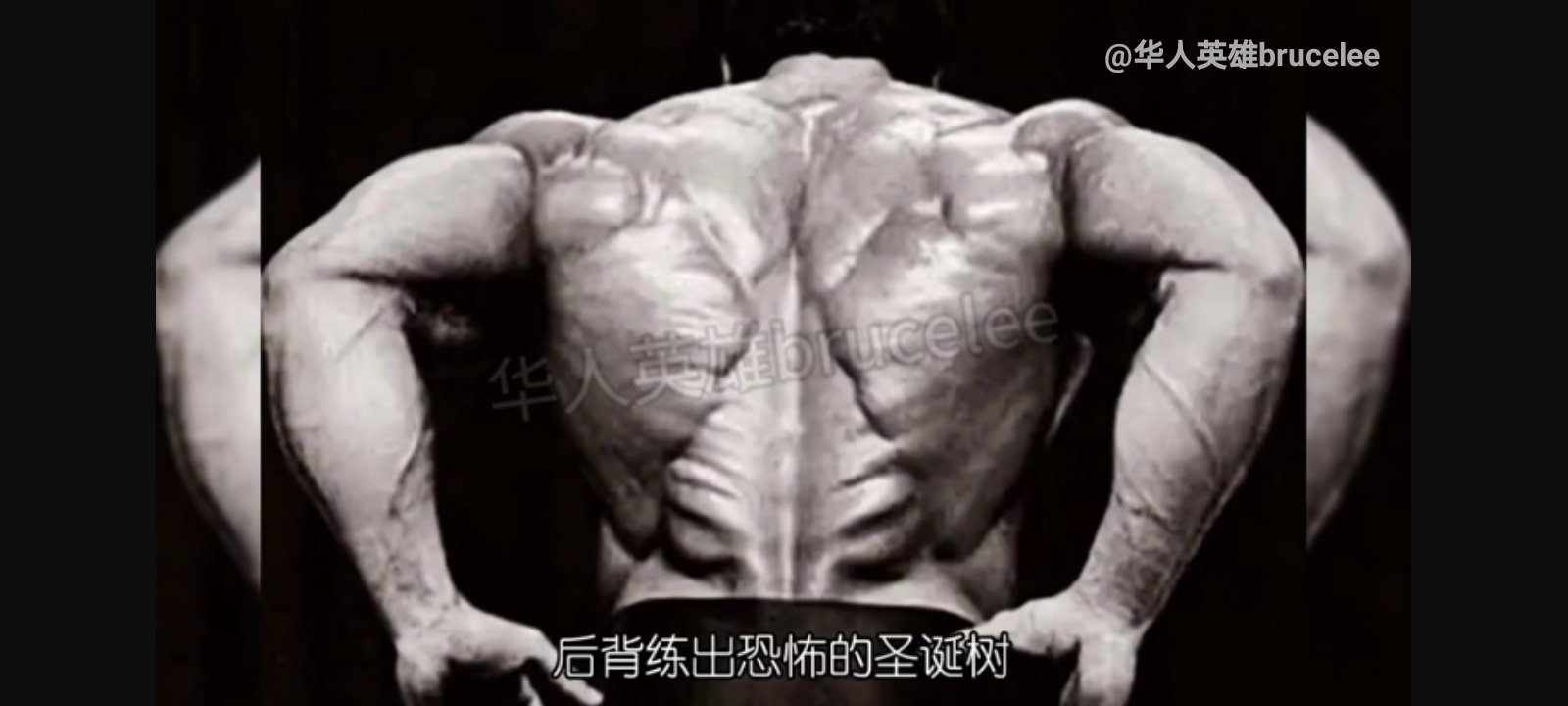 李小龙恐怖的背部肌肉