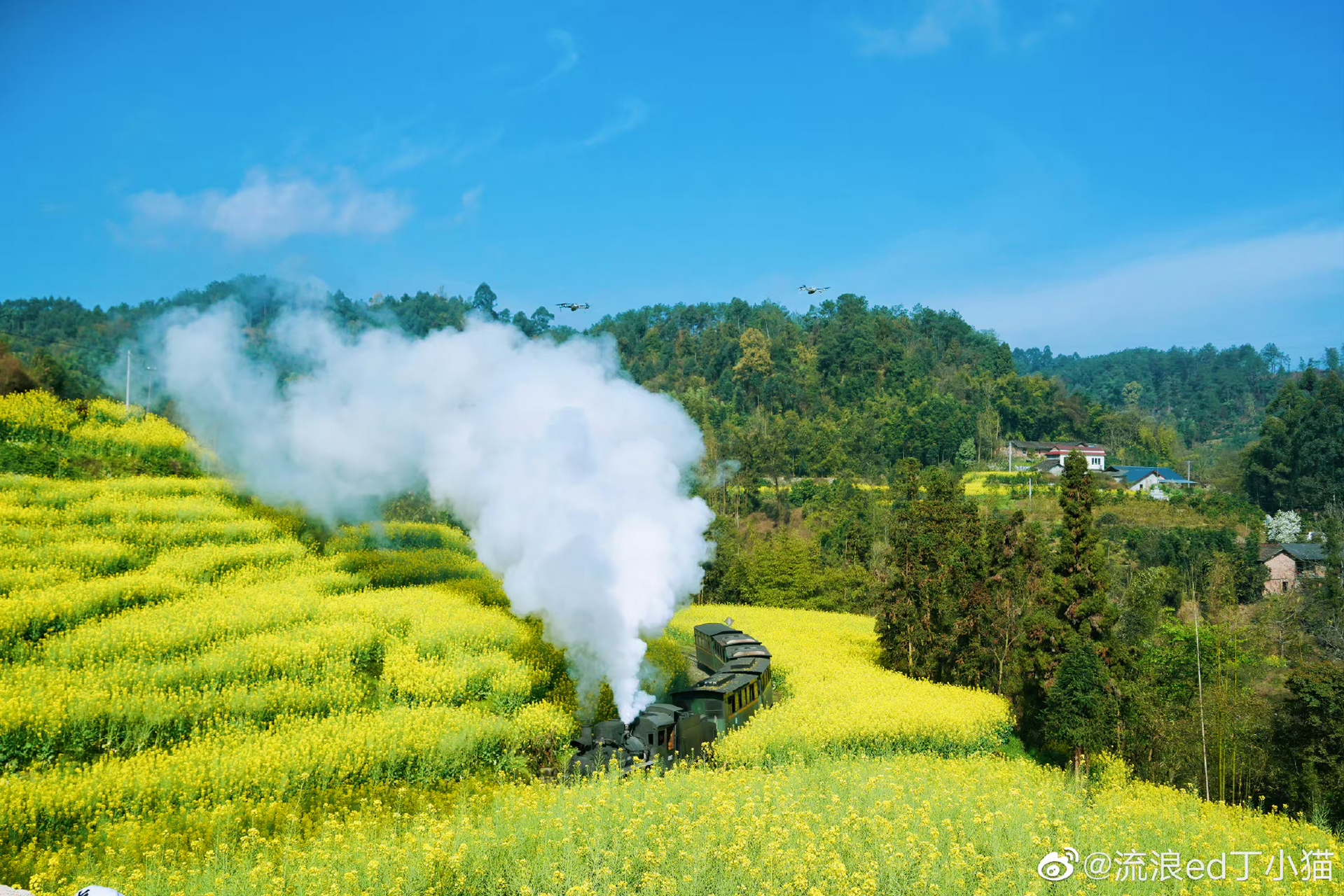 春游赏花必去嘉阳小火车全球绝版的蒸汽火车 春游赏花必去|嘉阳小火车