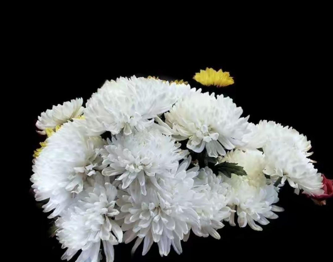 祭奠图片唯美祭奠图片大全祭拜图片大全大图祭拜祭奠亡灵祭拜的图片