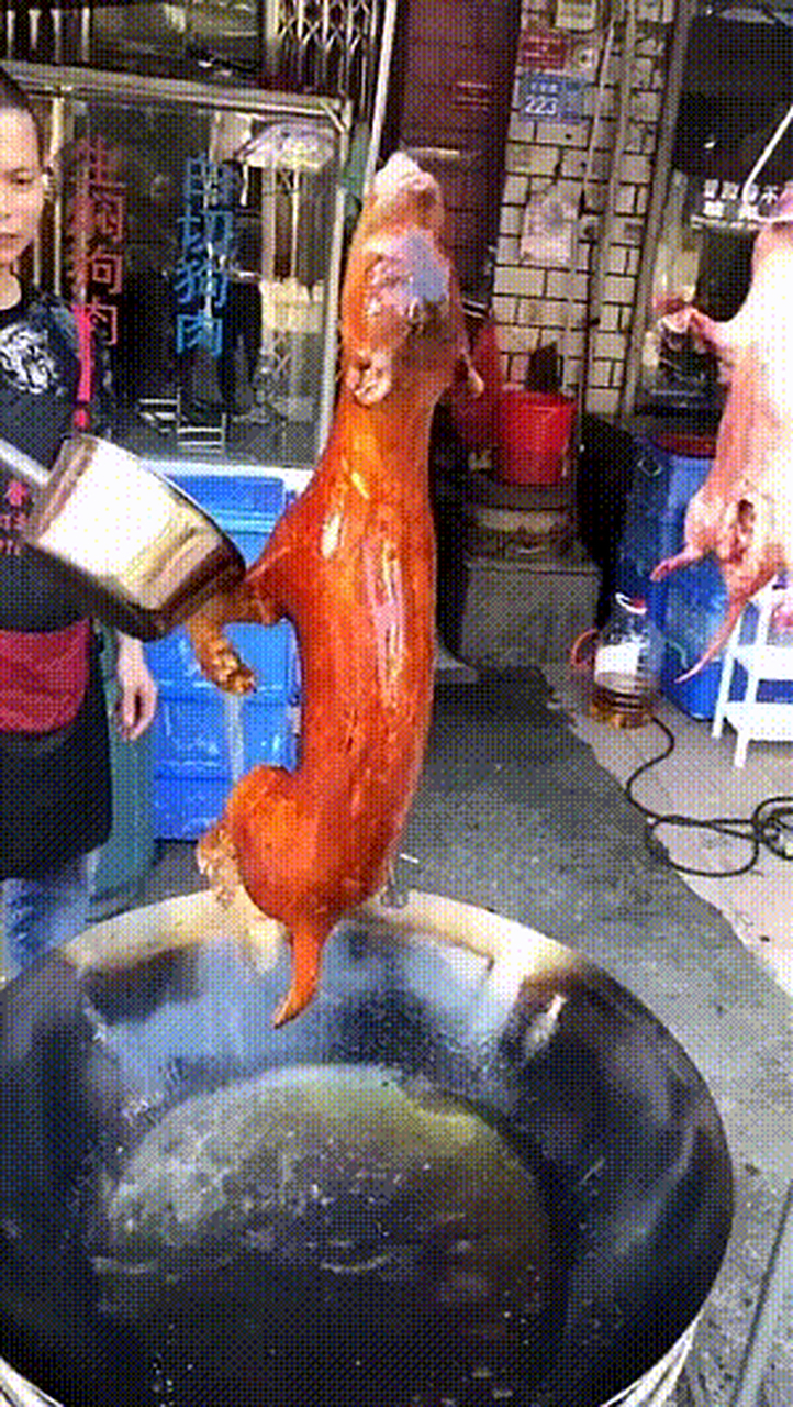 友友说广西柳州油淋脆皮狗肉超好吃,你们感觉自己能接受吗?