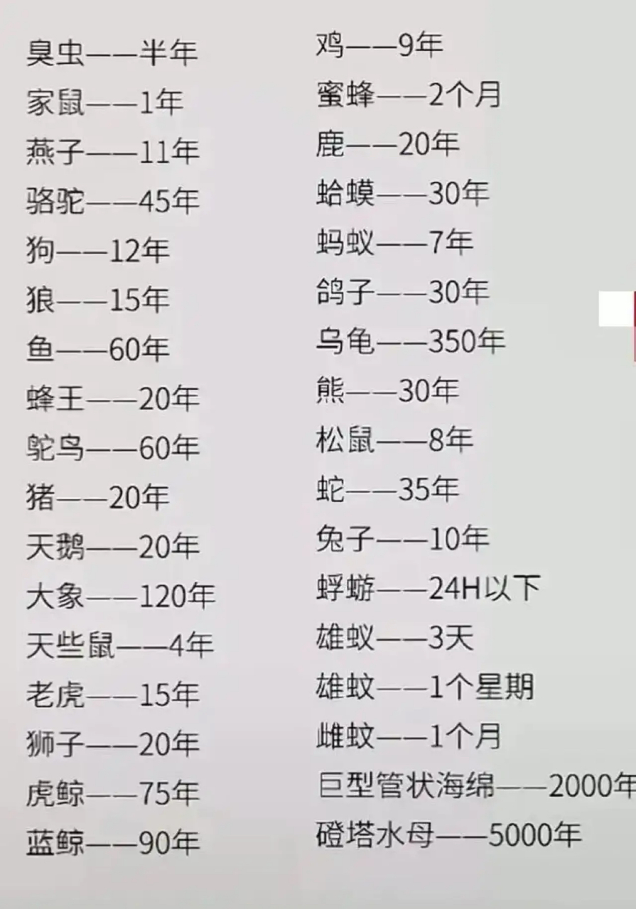 动物寿命排行榜: 02 蚊子的寿命是一个月,乌龟的寿命是350年.