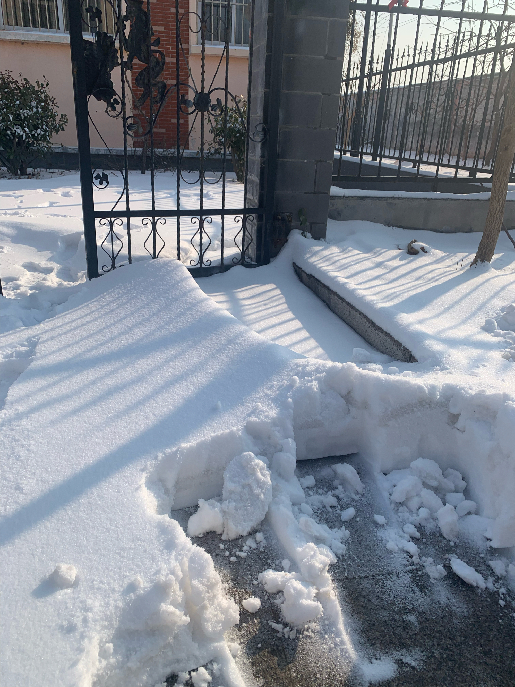 雪圈顶门图片